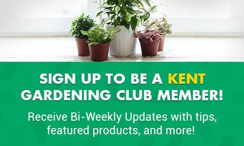 Gardening Emailer Banner
