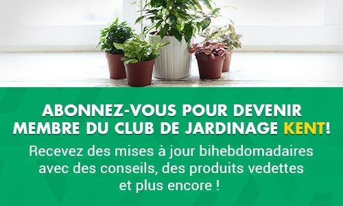 Emailier de jardinage Banner
