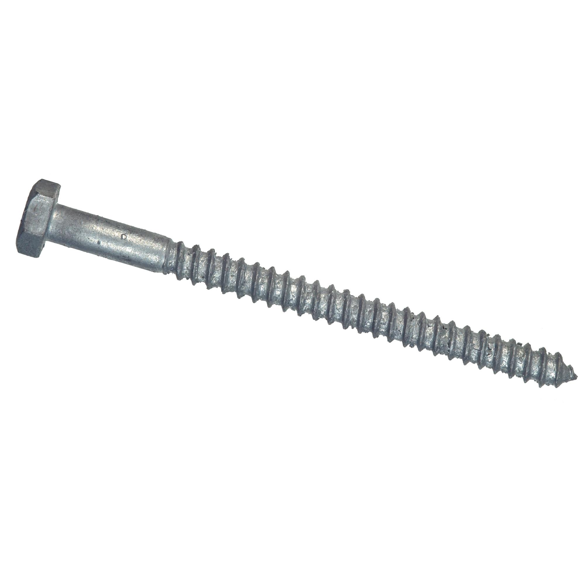 1/2" x 10" HDG Hex Lag Screw
