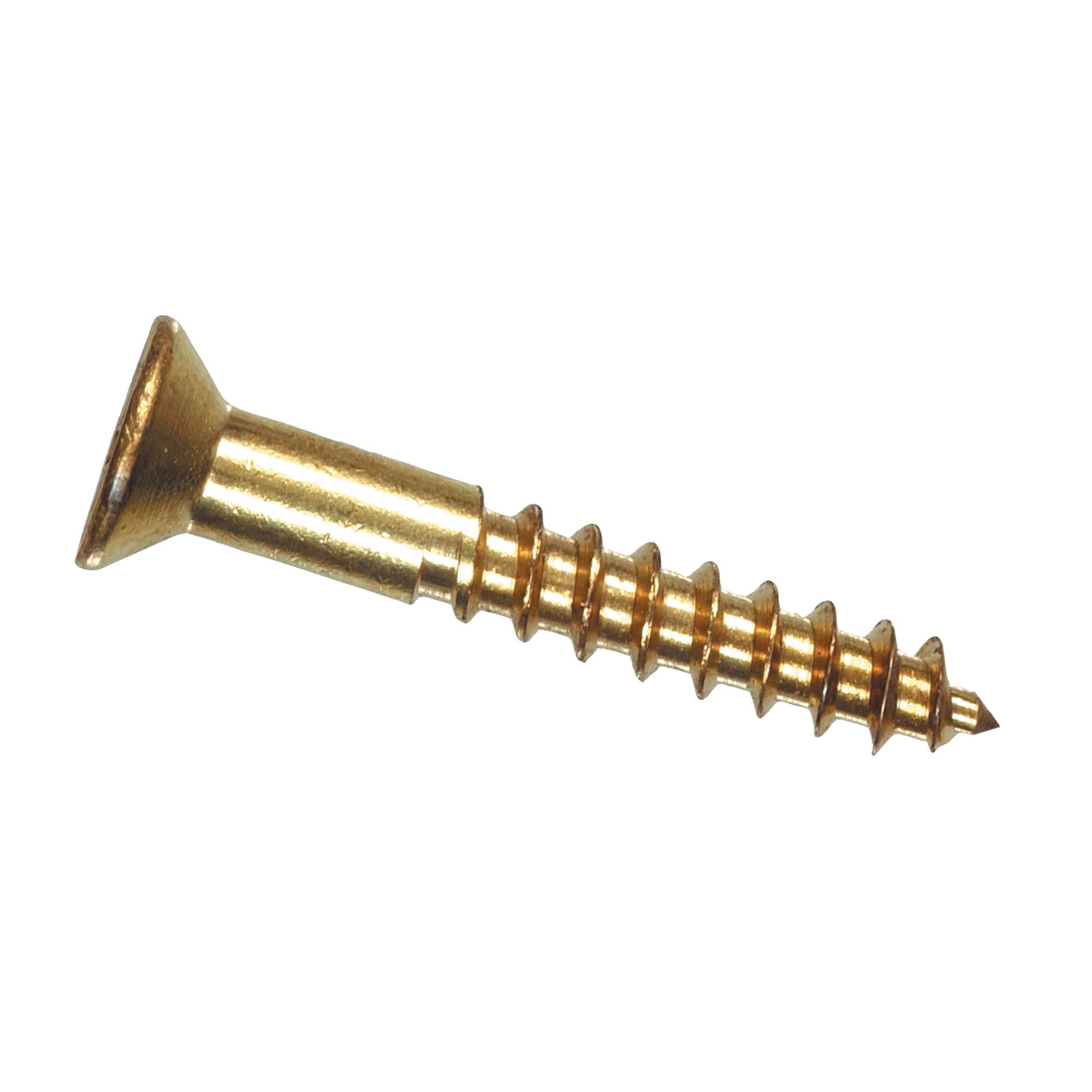 #10 x 3" Flat Head Wood Screw-2/Pack