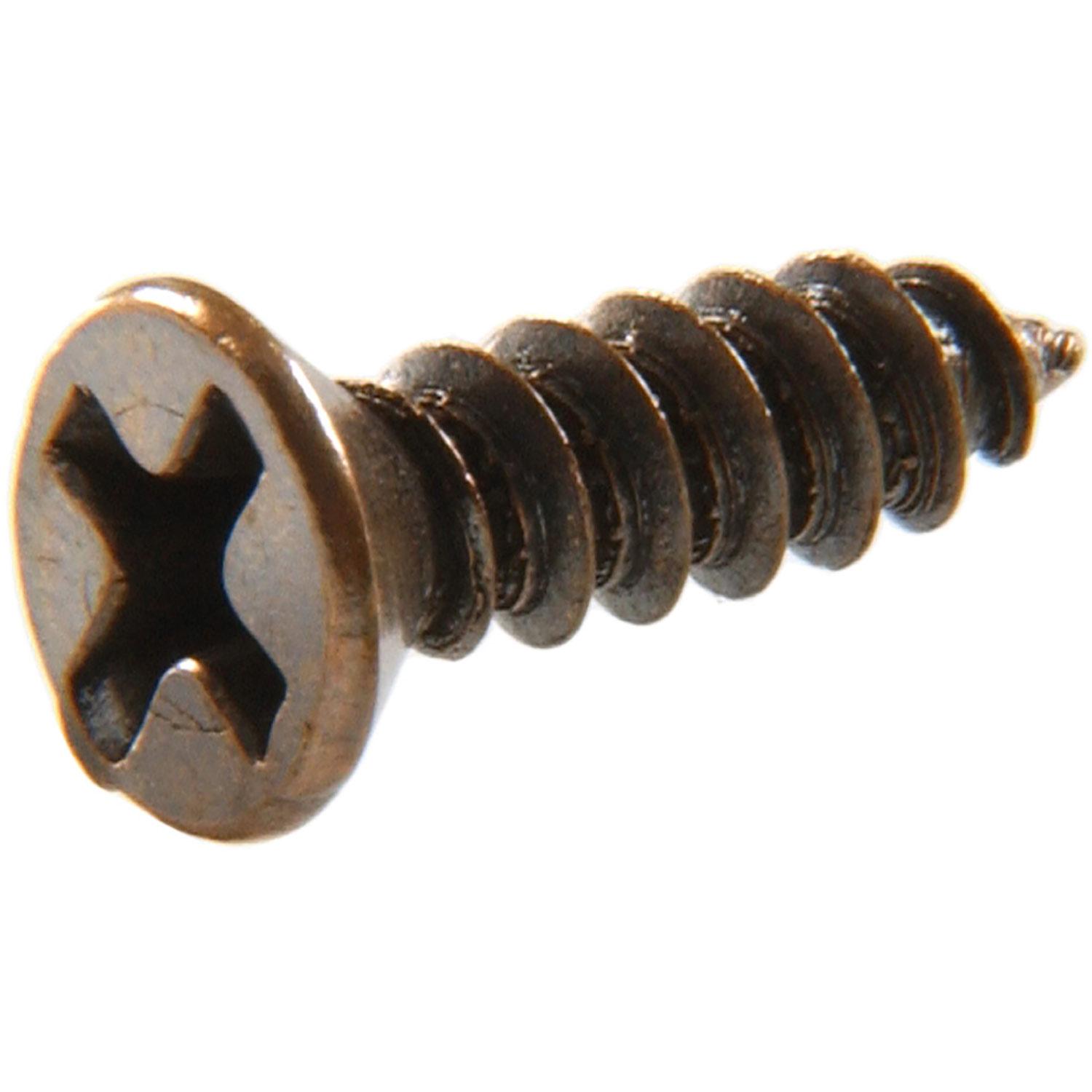 #6 x 1/2" Antique Brass Flat Decorative Metal Screw