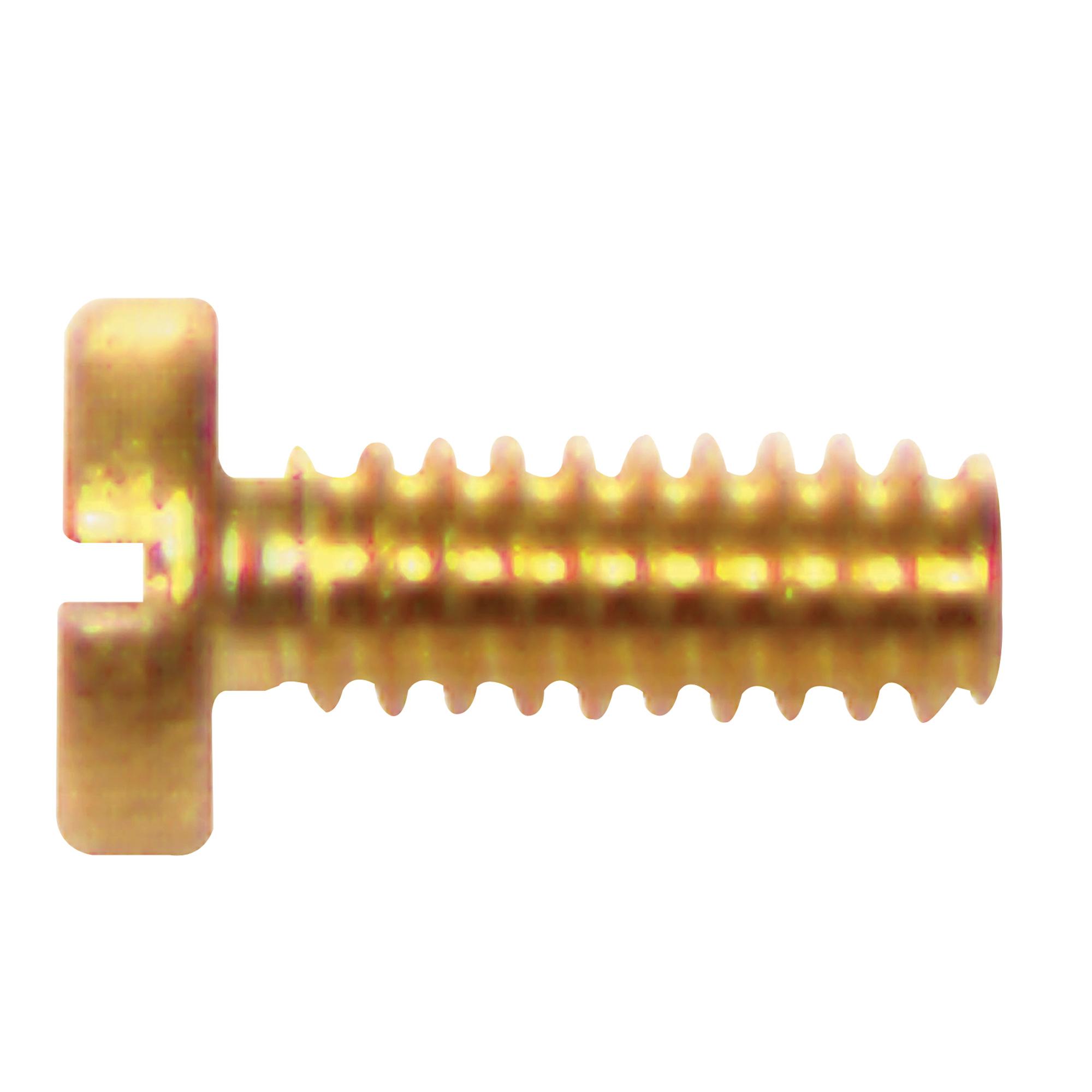 1/4-20 x 2-1/2" Pan Head Machine Screw-2/Pack