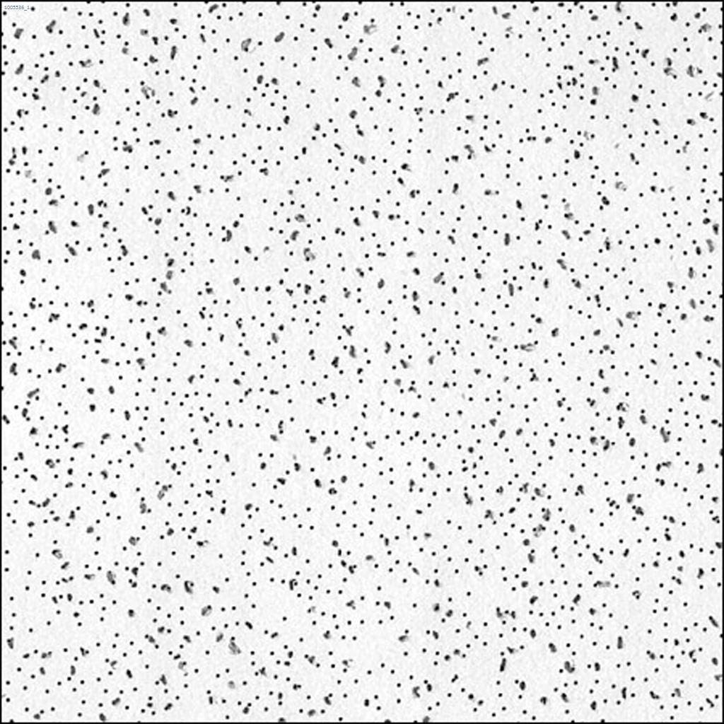 Panneau acoustique Radar™ ClimaPlus™ 2' x 4' x 5/8" blanc