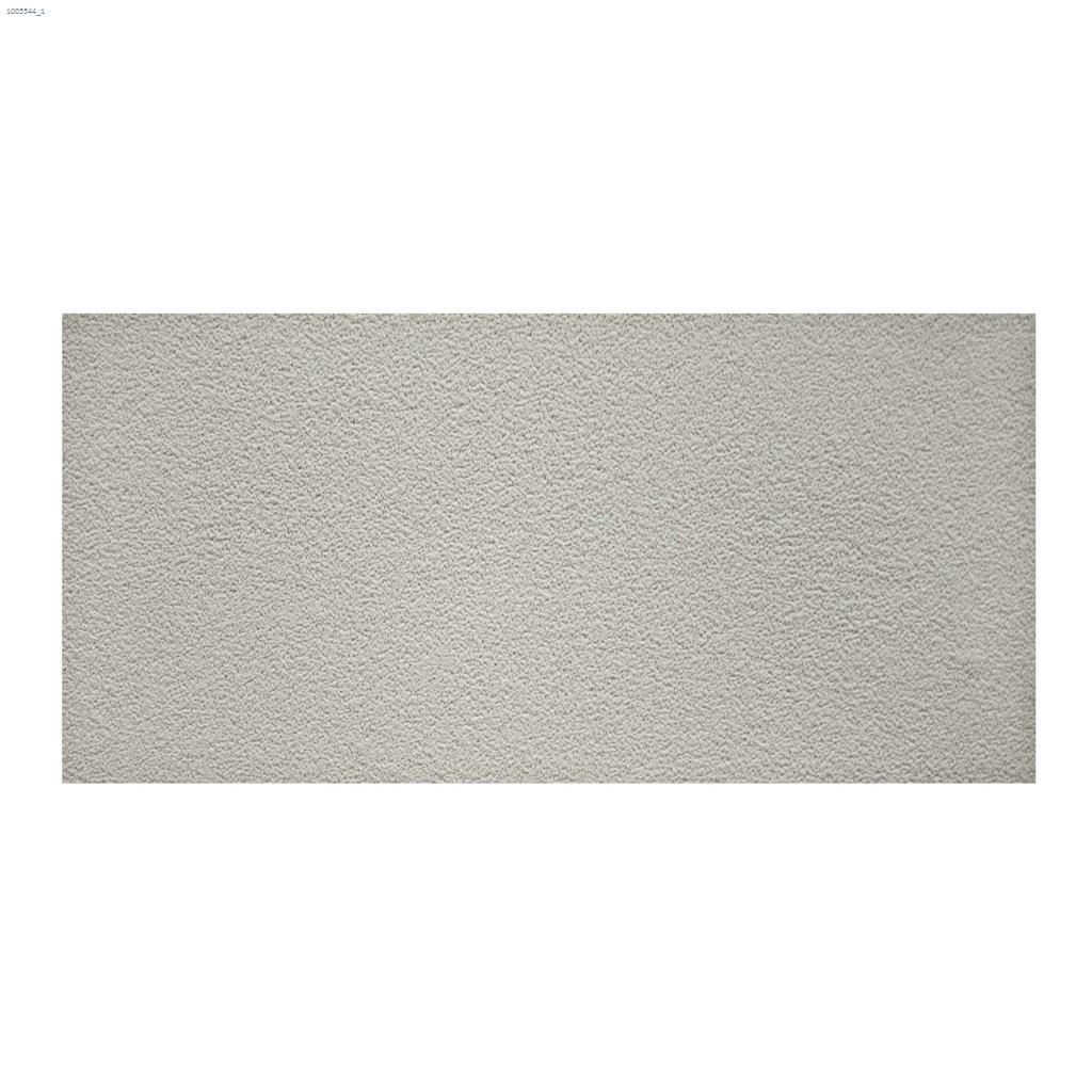 Tuile pour les Plafonds Alpine ClimaPlus de 2' x 4' x 5/8"