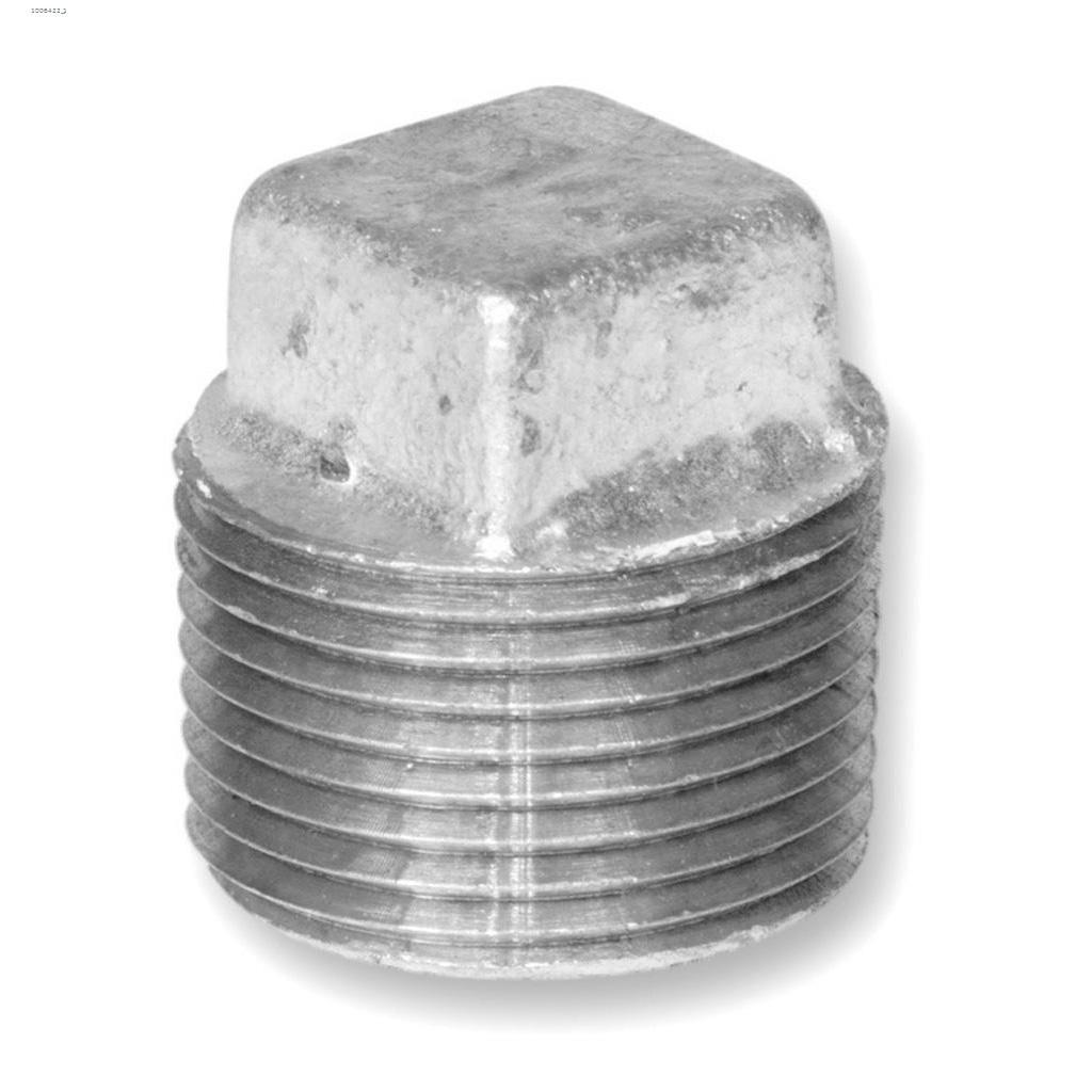 2" Galvanized Malleable Iron Plug