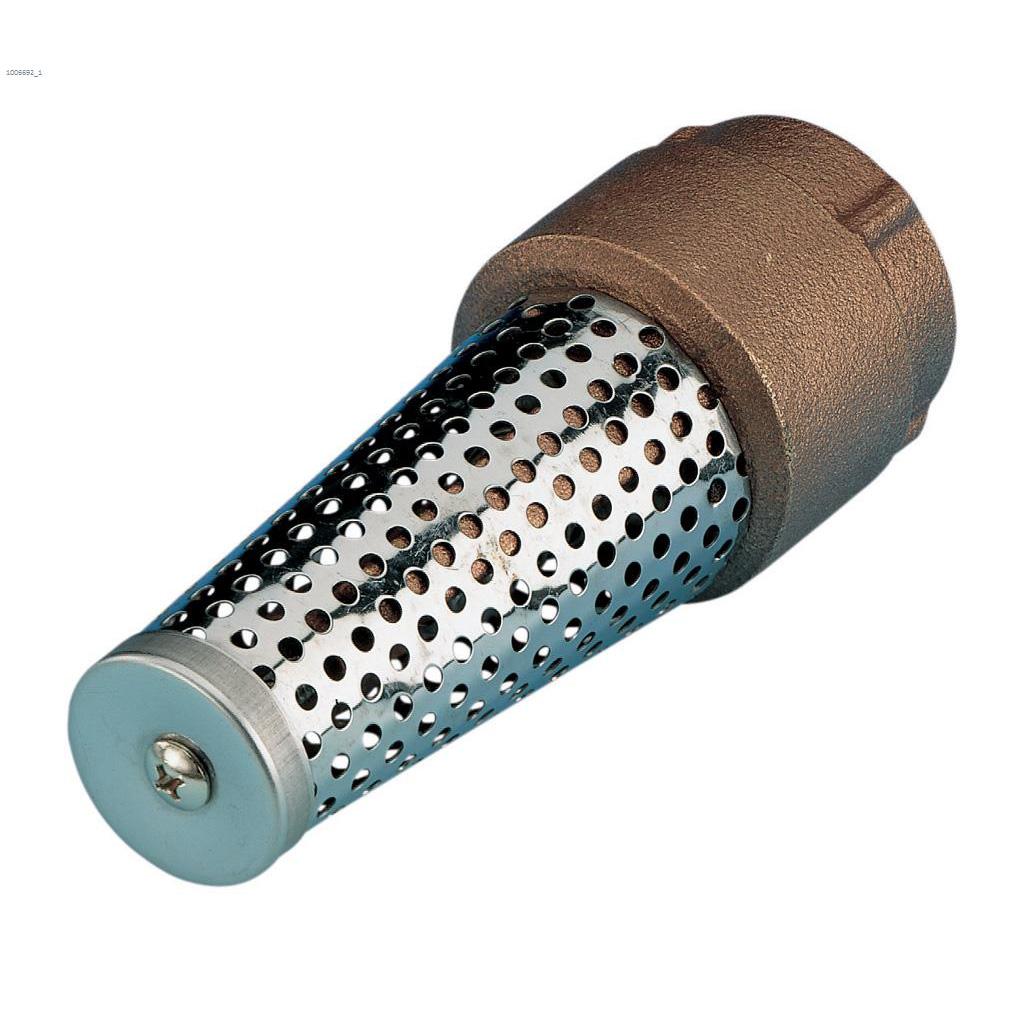 1-1/4" NPT Tough Thermoplastic Foot Valve