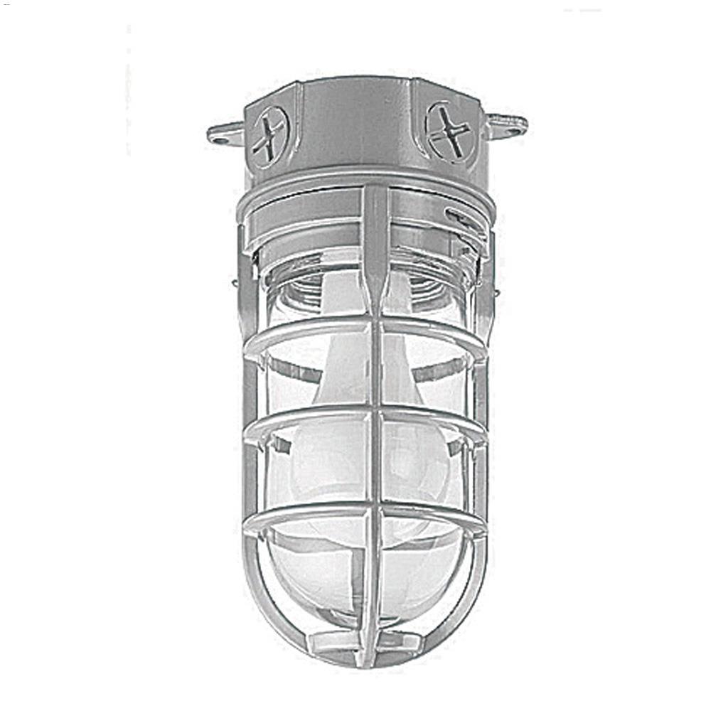 150 Watt Outdoor Metal Cage Light