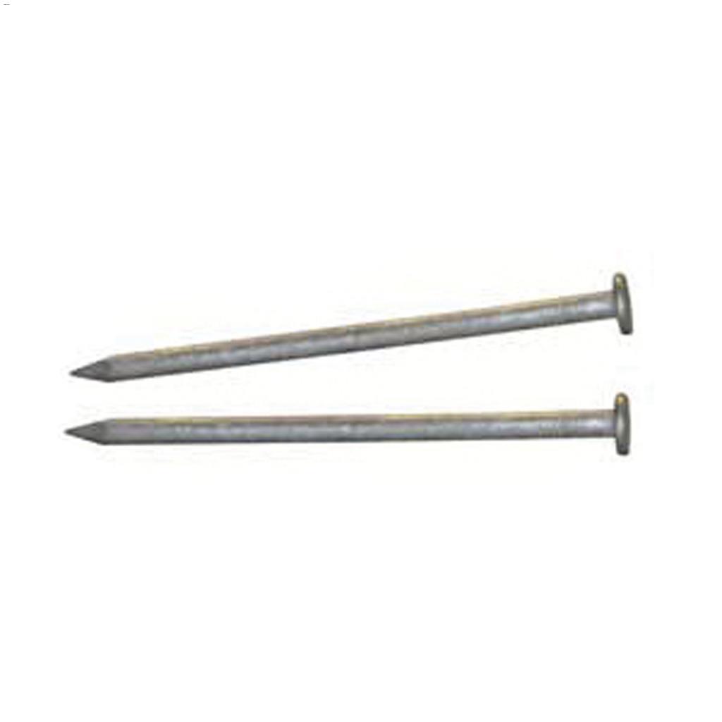 1" Hot Dipped Galvanized Common Nail-400 g