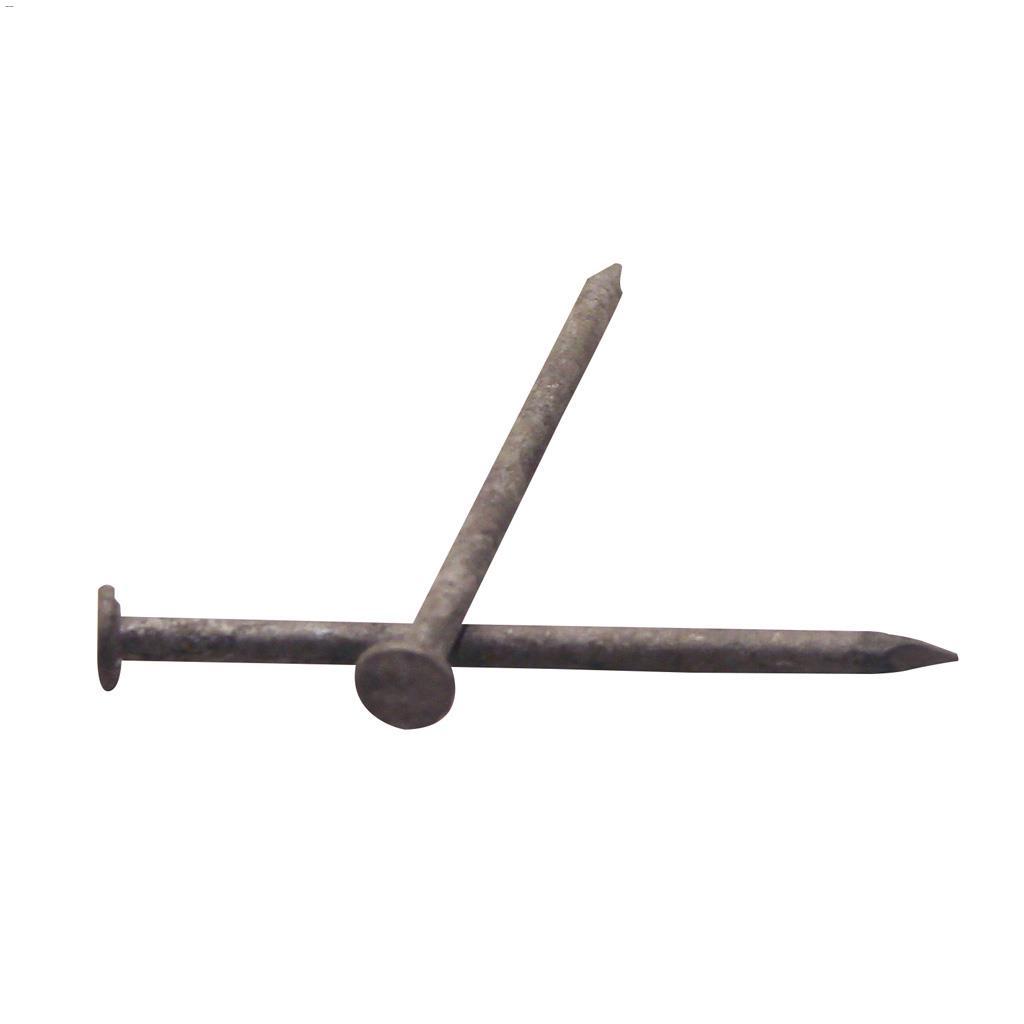 3" Hot Dipped Galvanized Common Nail-1.5 kg