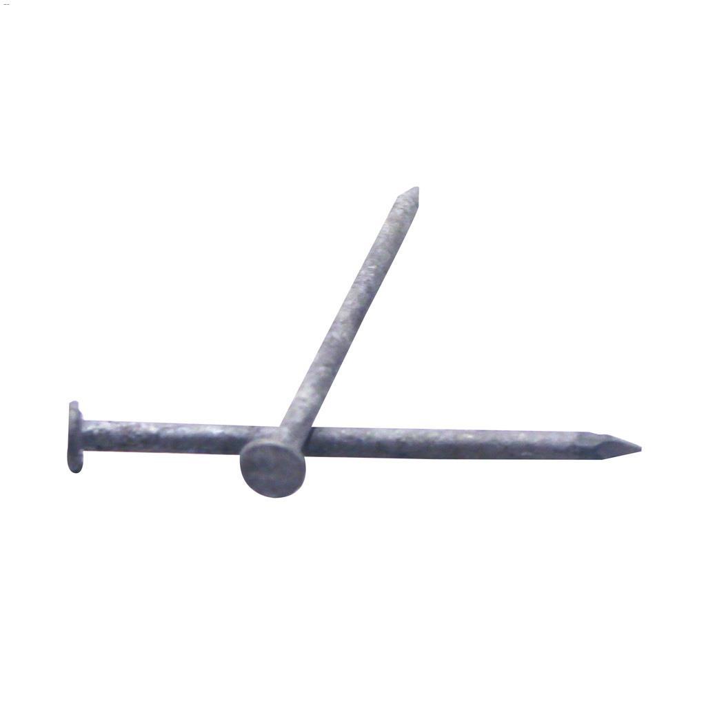 4" Hot Dipped Galvanized Common Nail-1.5 kg