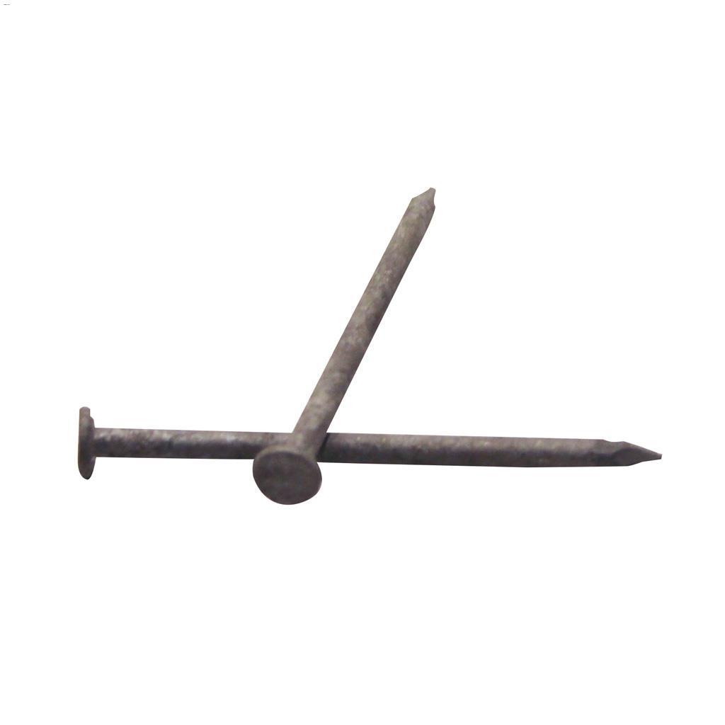 3-1/2" Hot Dipped Galvanized Common Nail-1.5 kg