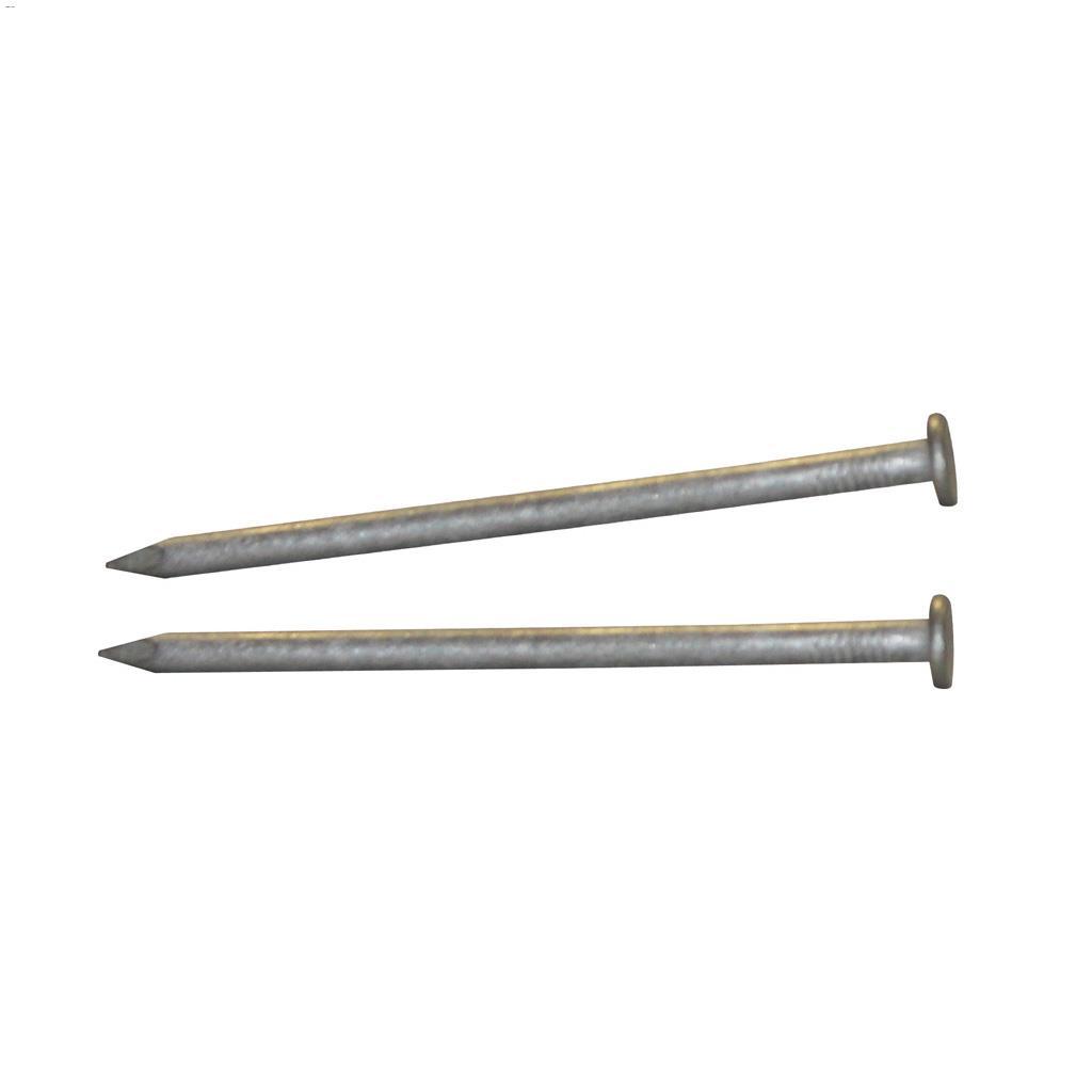 3" Hot Dipped Galvanized Common Nail-400 g