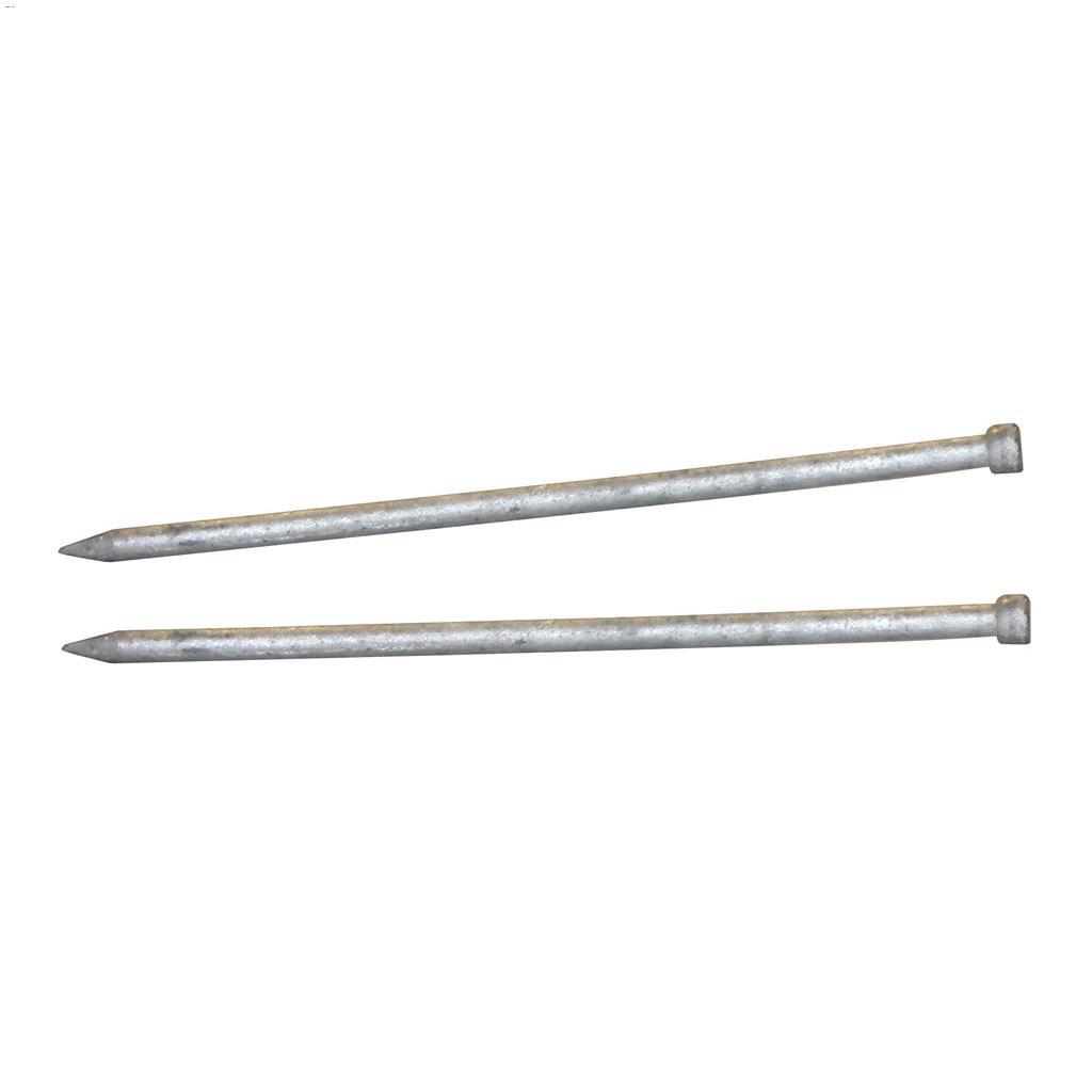 2-1/2" Hot Dipped Galvanized Finish Nail-400 g