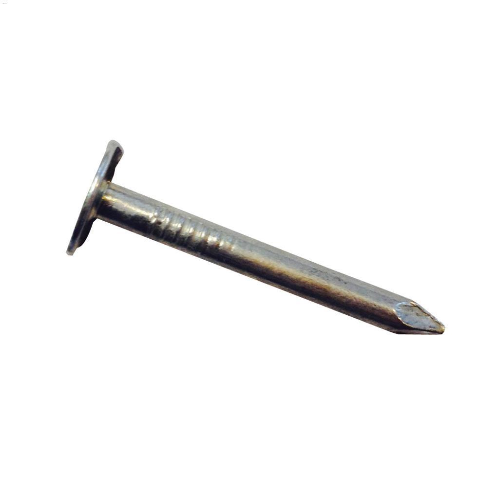 1" Electro Galvanized Roofing Nail-400 g