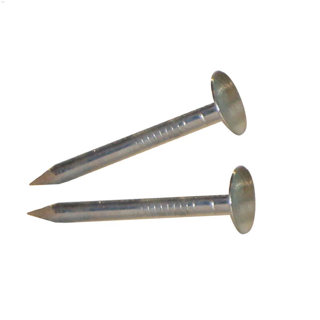 1-1/2" Electro Galvanized Roofing Nail-400 g