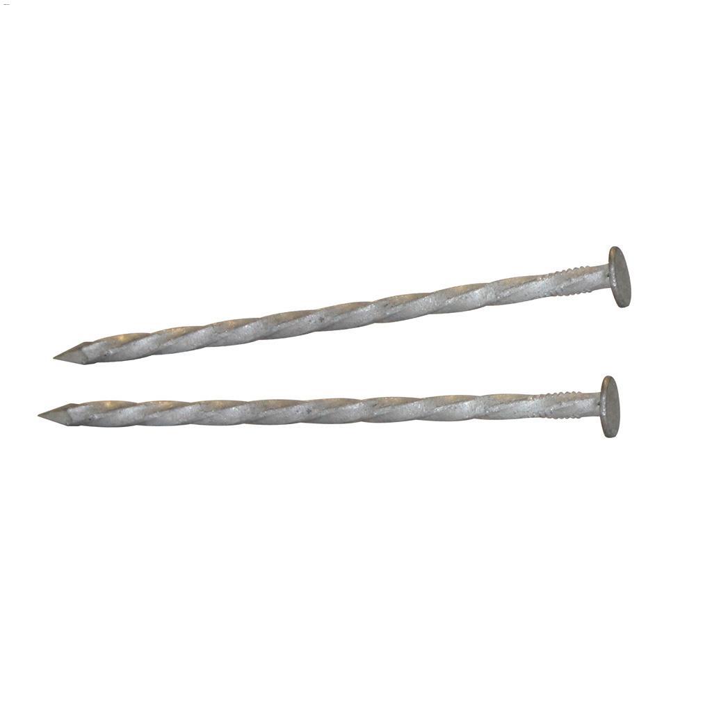 2-1/2" Hot Dipped Galvanized Ardox Nail-400 g