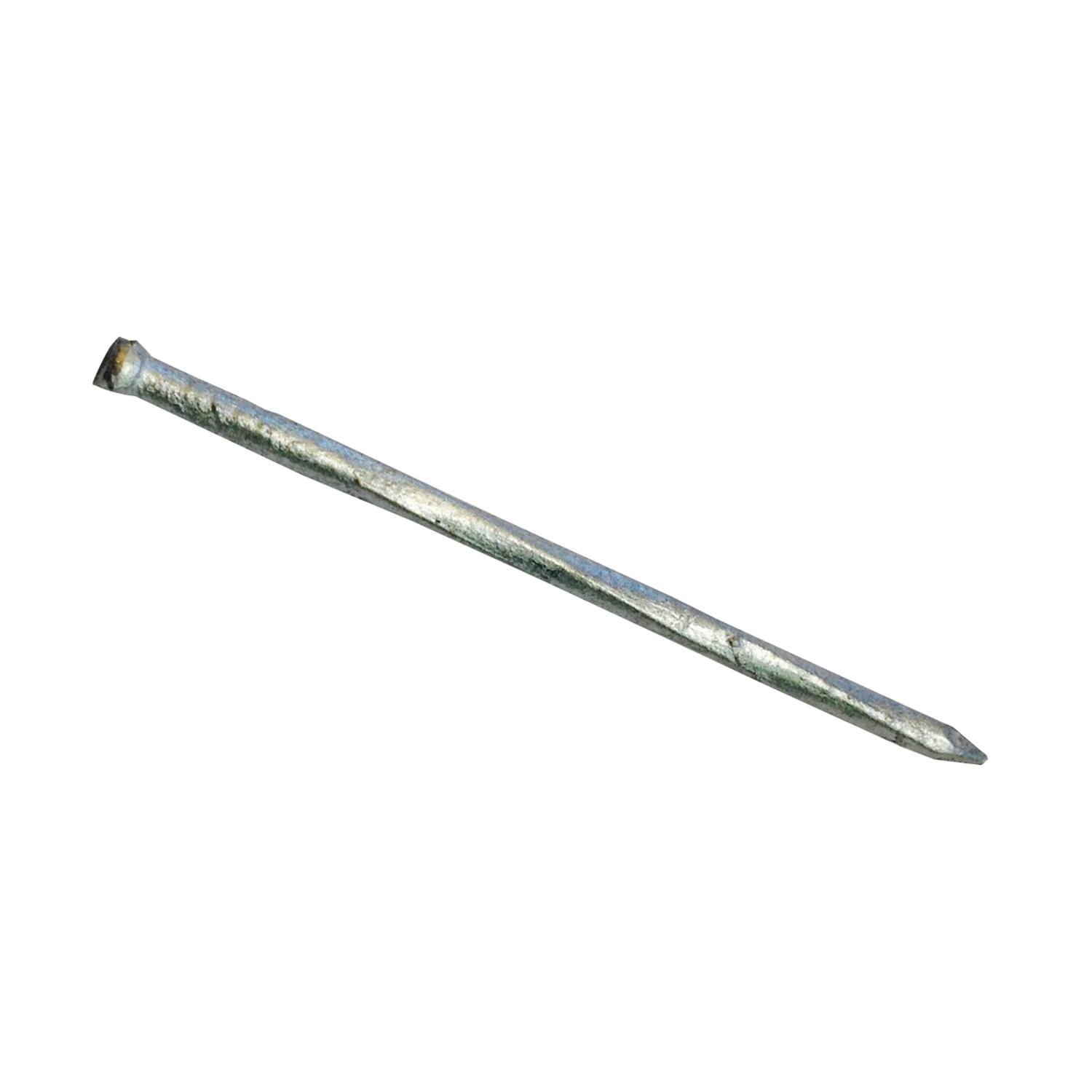 2-1/2" Hot Dripped Galvanized Ardox Finish Nail-400 g