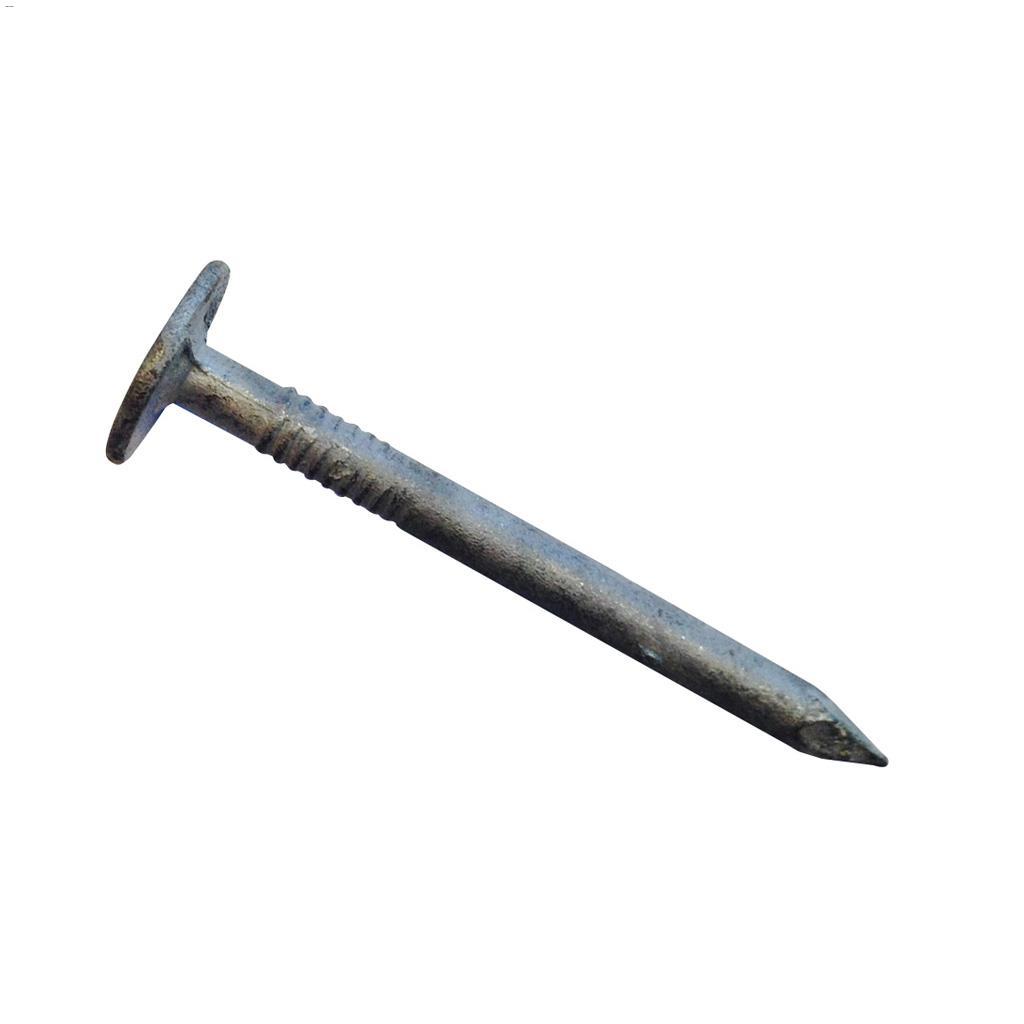 1" Hot Dipped Galvanized Roofing Nail-400 g