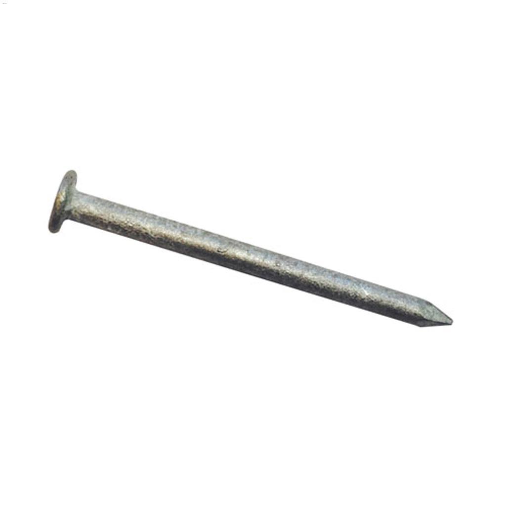 8" Hot Dipped Galvanized Common Nail-50 lb