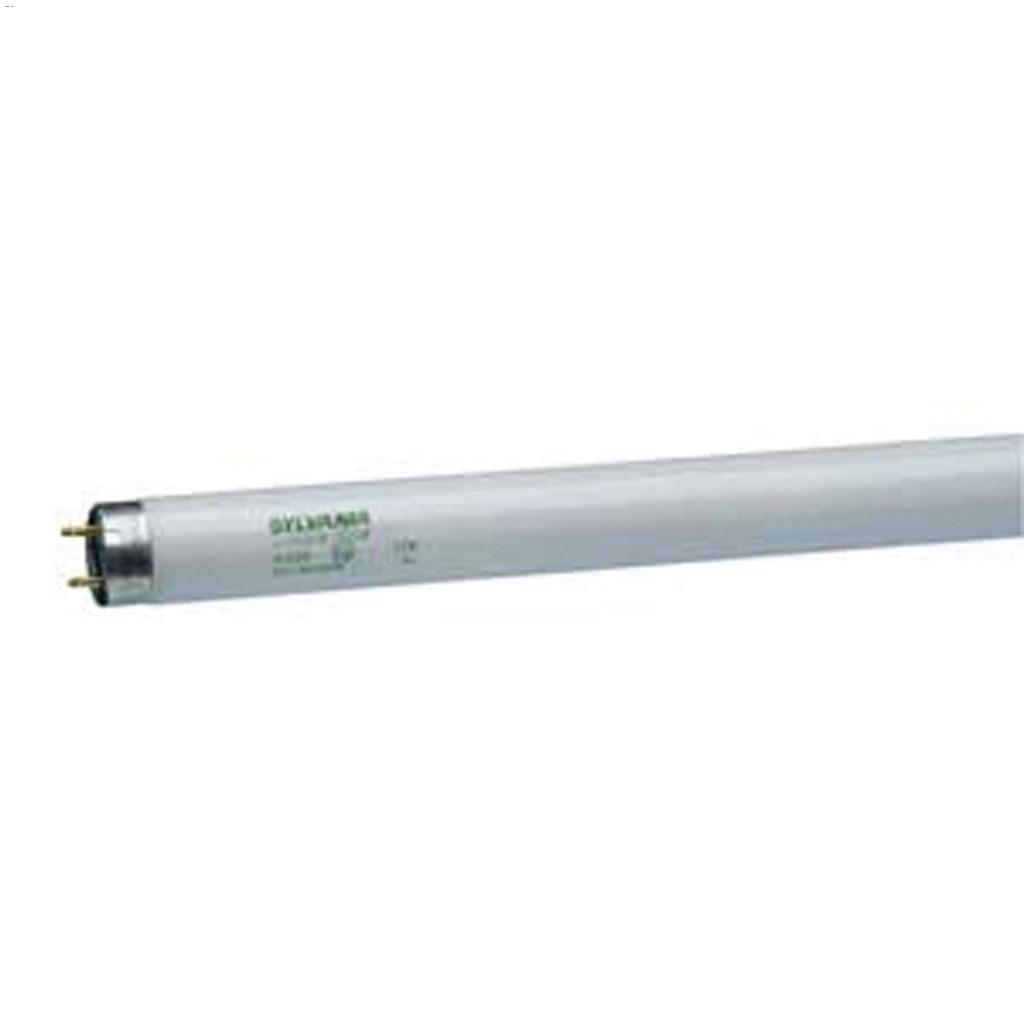 Ampoule fluorescente Rare Earth Phosphore 17 Watt T8