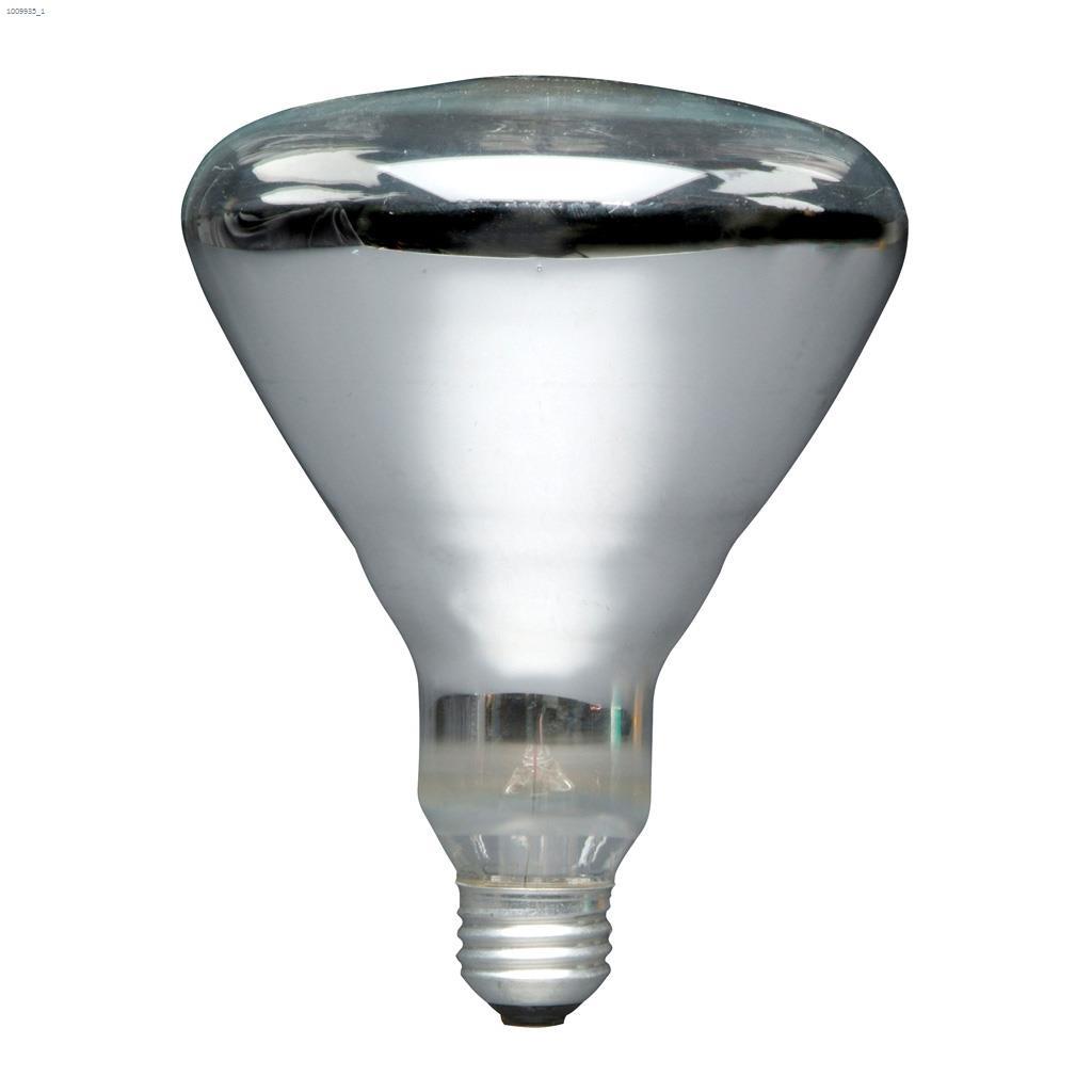 Ampoule incandescente 250 Watt E26 Medium BR40