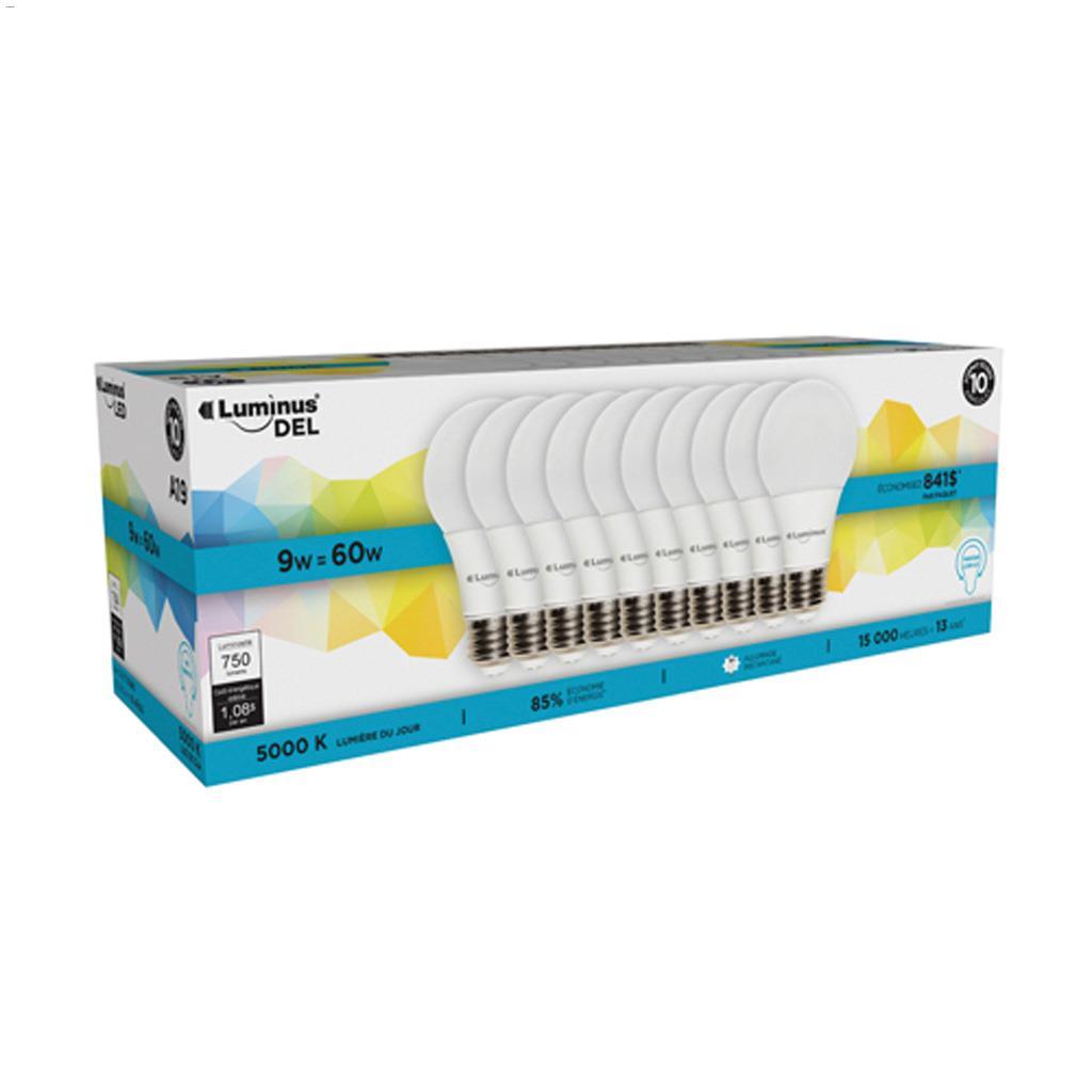Paquet de 10 ampoules DEL9 Watt A19