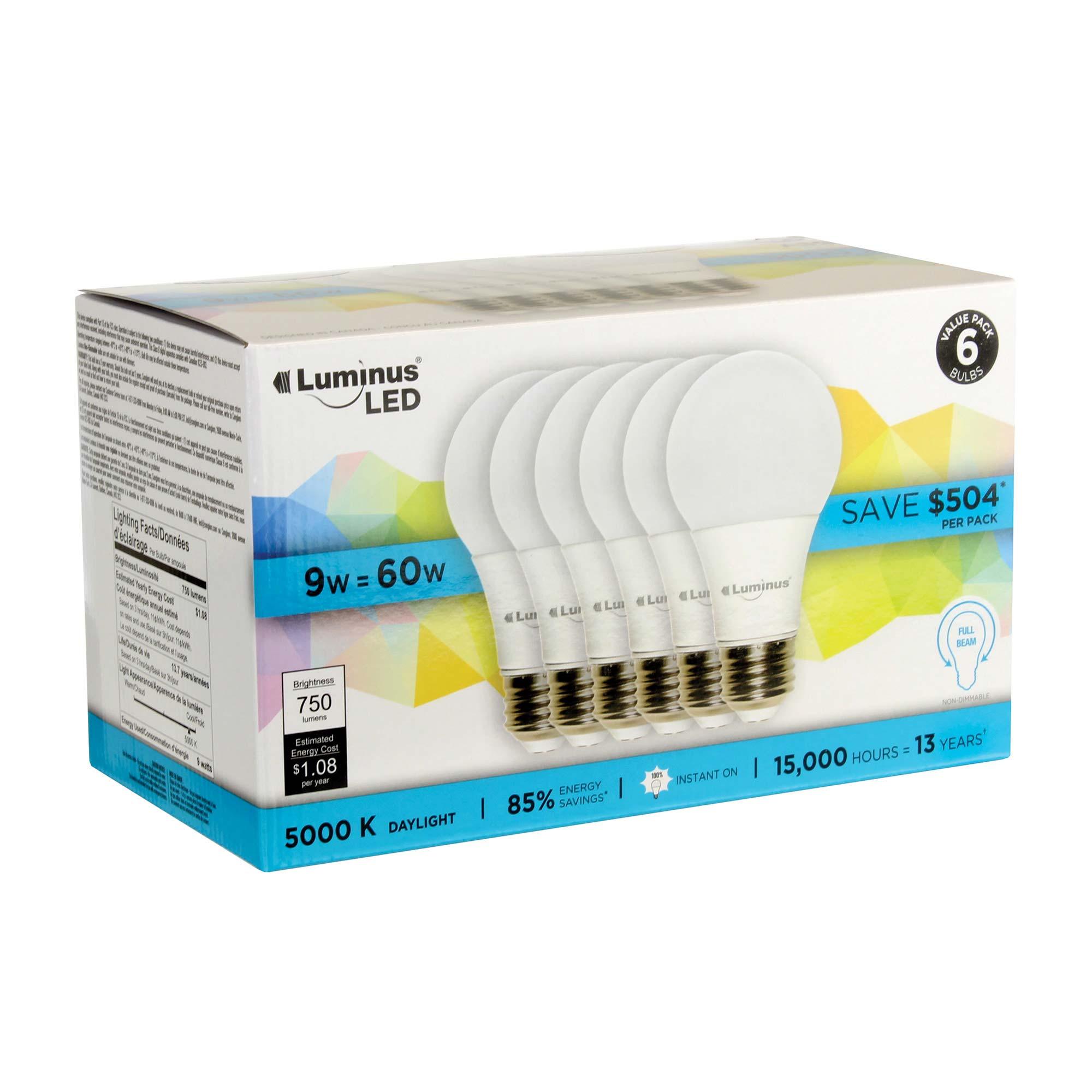 Paquet de 6 ampoules DEL9 Watt A19