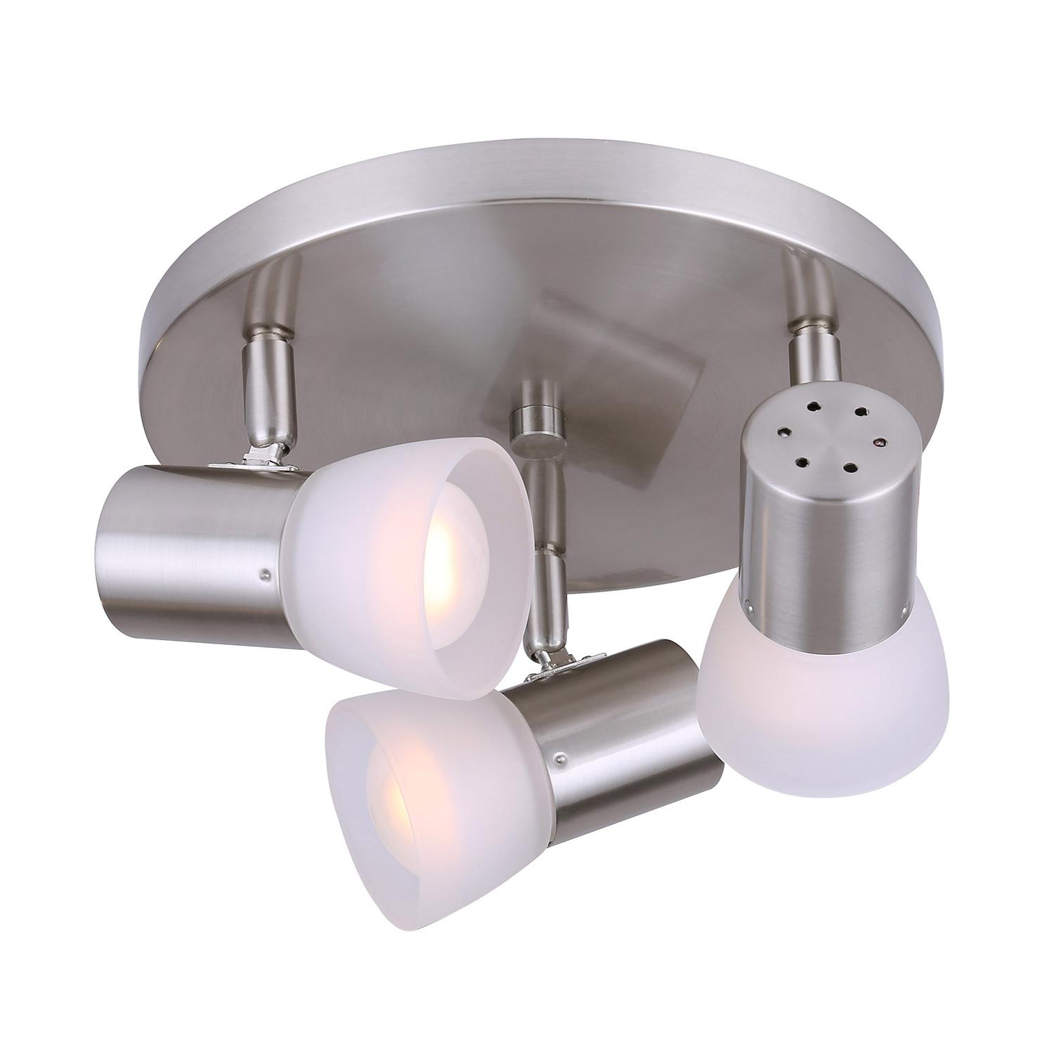 Hudson 3 Light Canopy Fixture