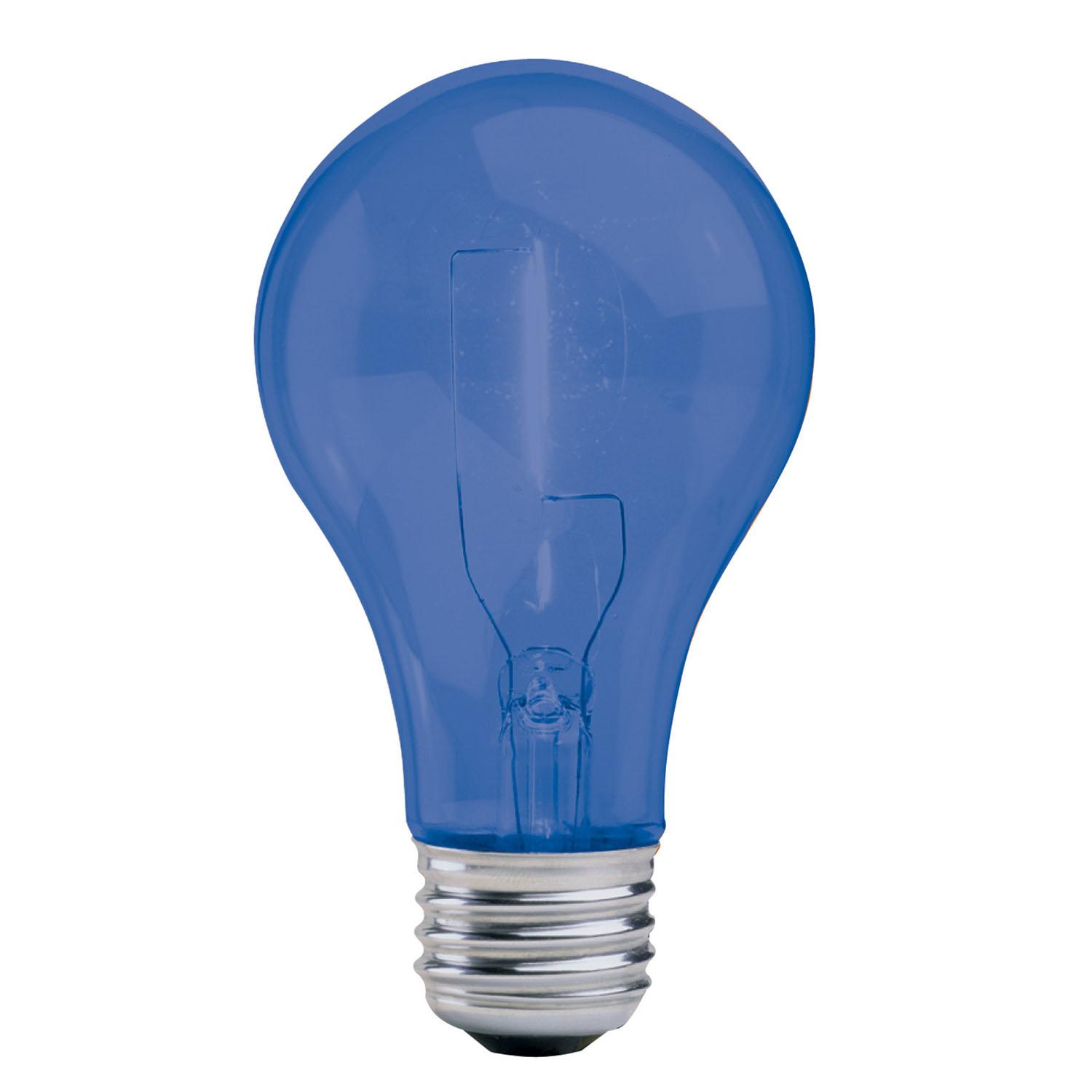 A19 25W Incandescent Bulb