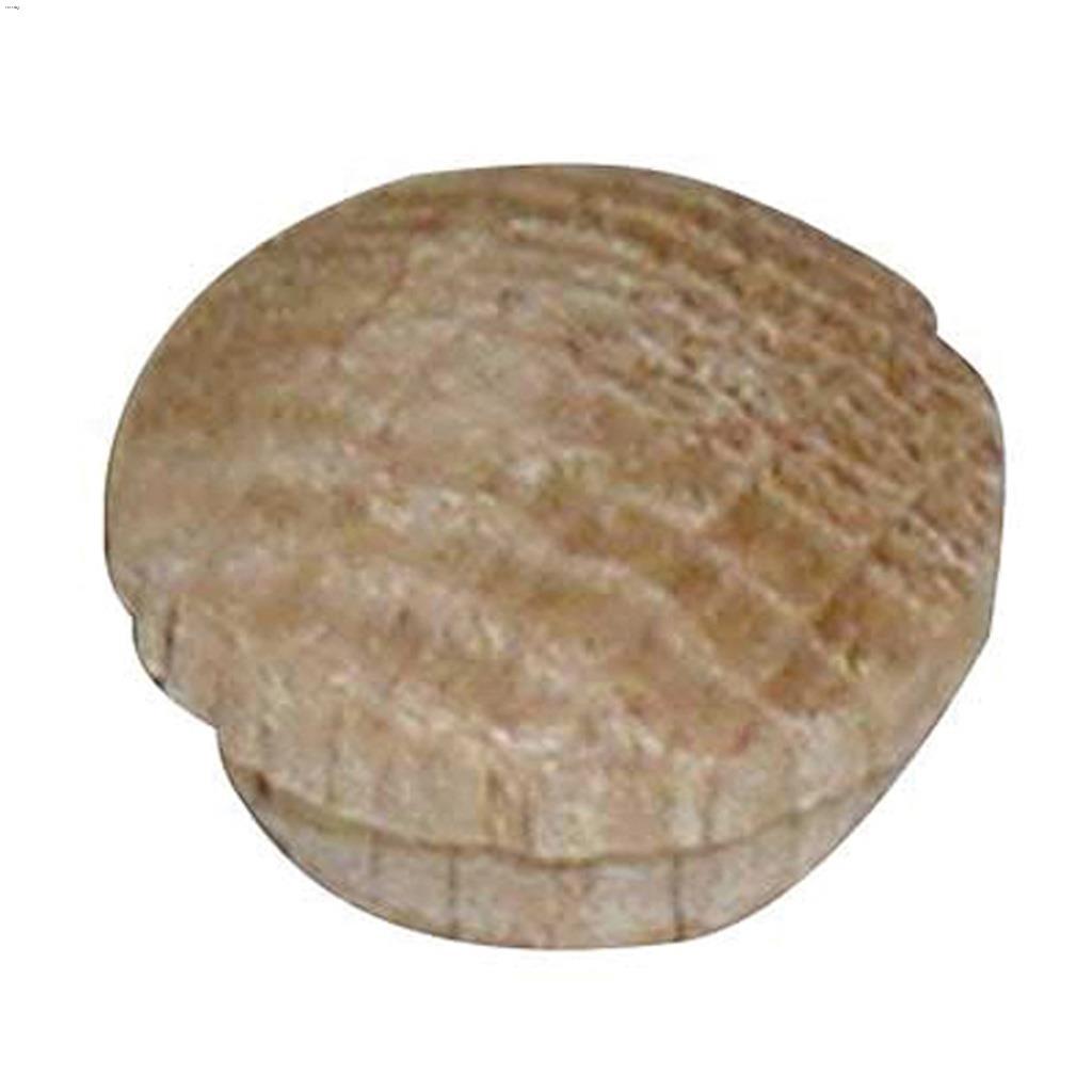 1/2" Oak Hardwood Mushroom Cap-20/Pack