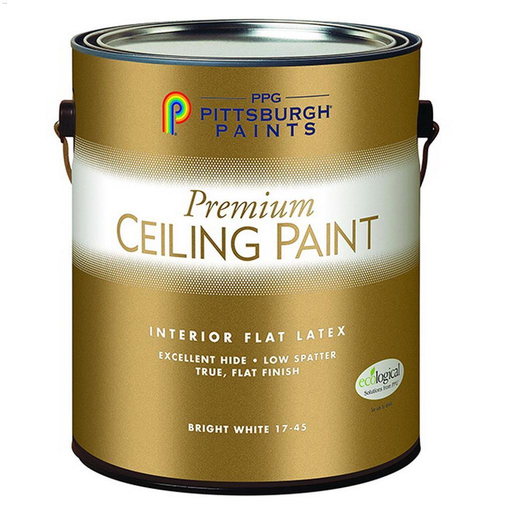 Peinture de Choix pour les Plafonds