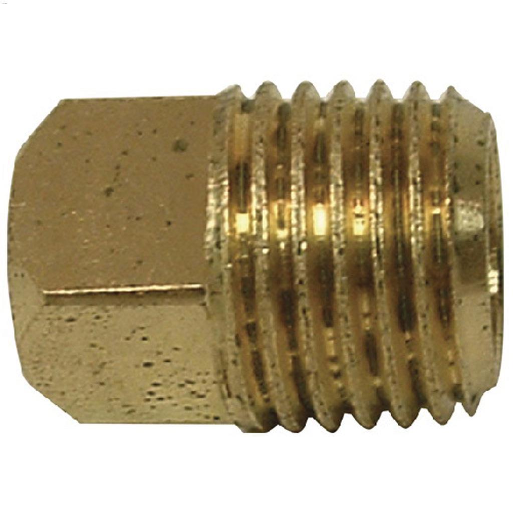 Prise de tuyau en laiton MIP x tête carrée 1/8"