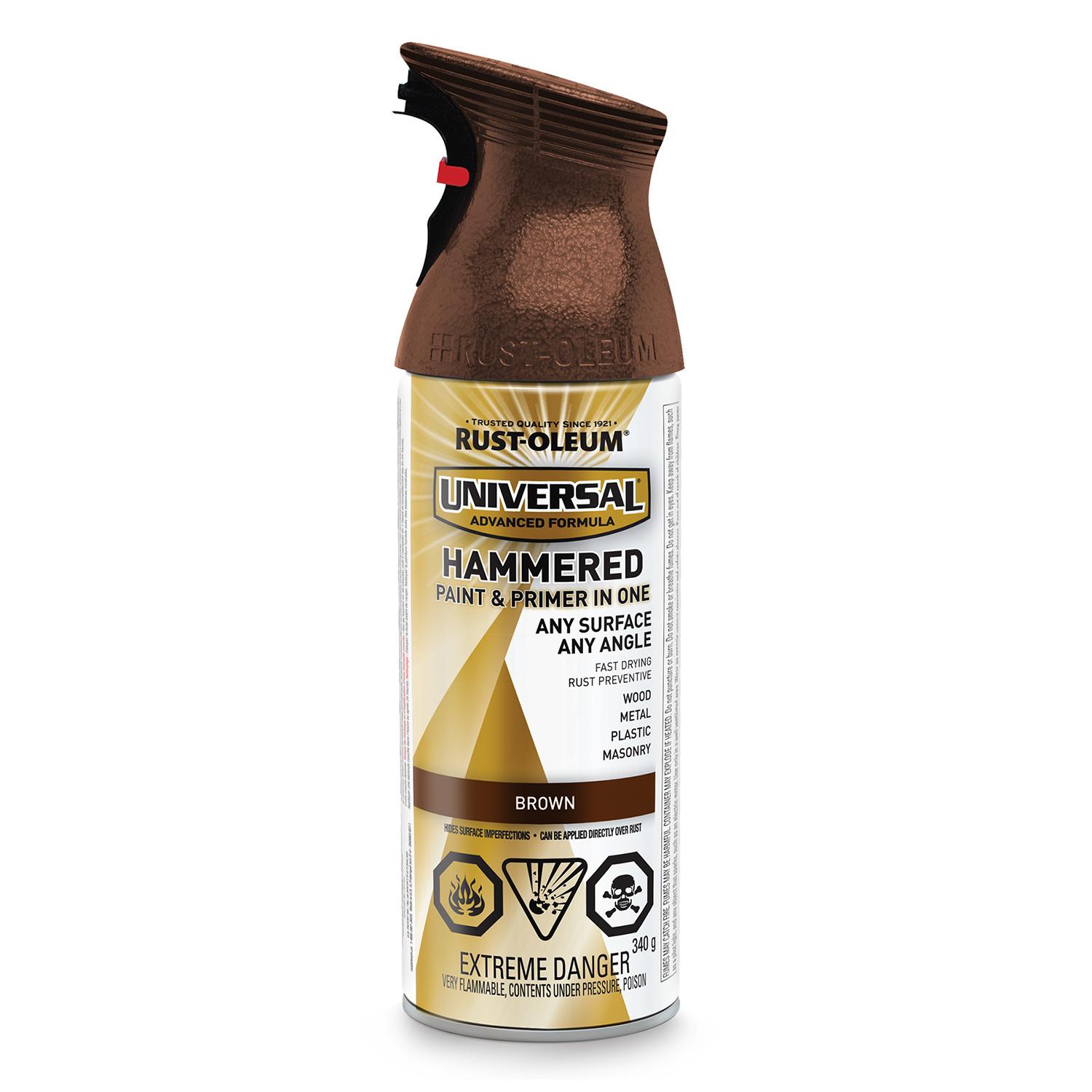 340 g Hammered Spray Paint & Primer
