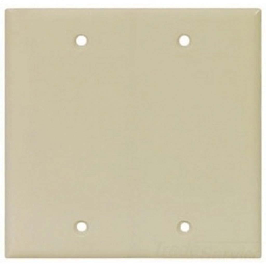 Thermoset 2 Gang Blank Wall Plate