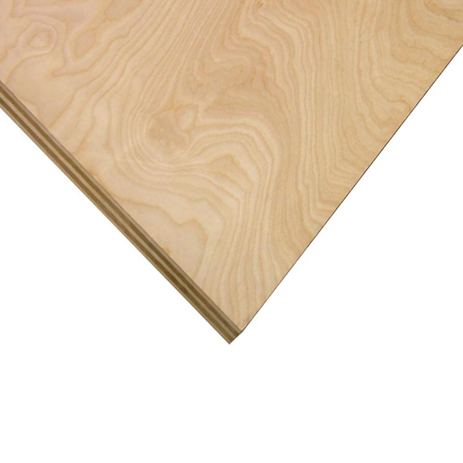 1/2" x 2' x 4' Cut Birch Plywood