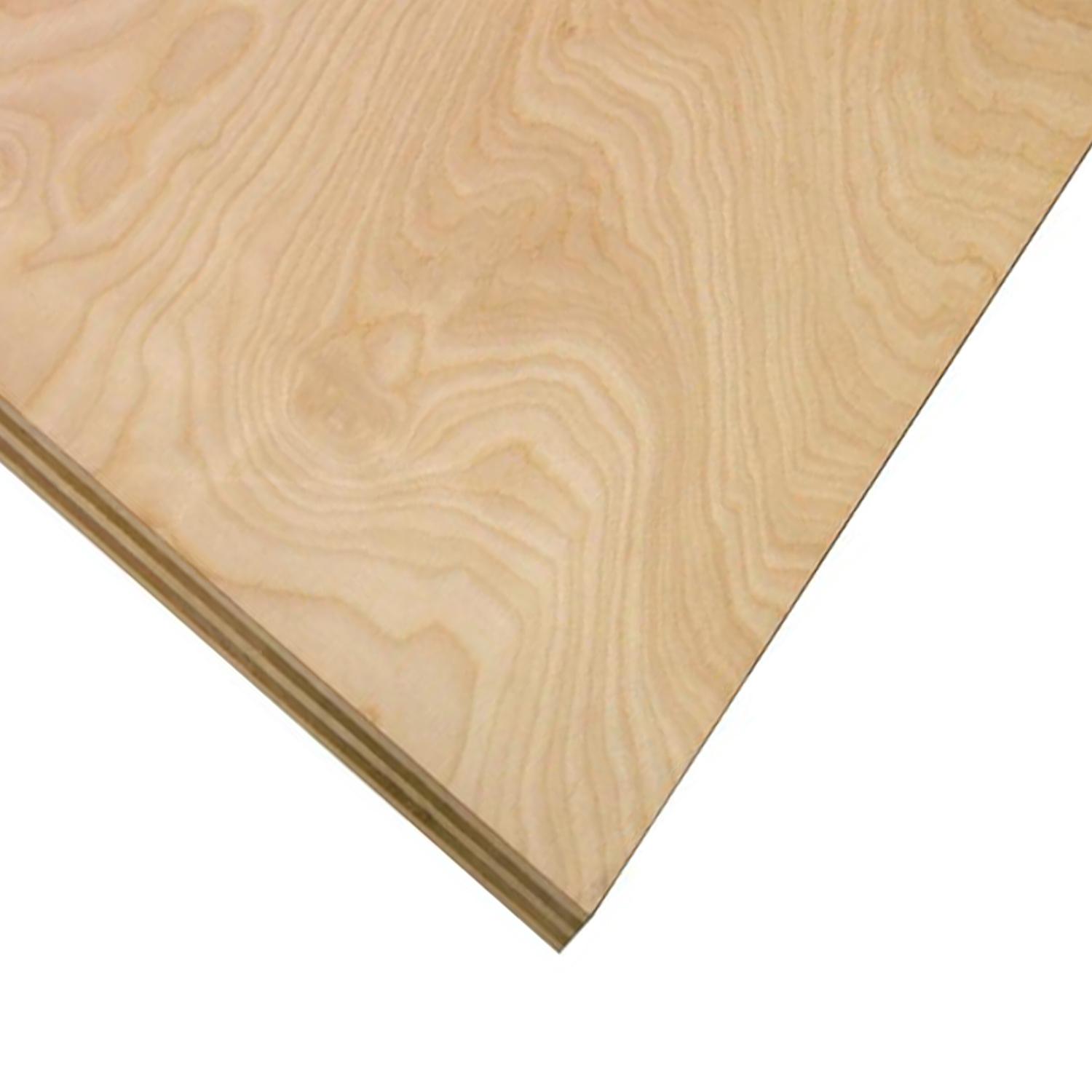 3/4" x 4' x 4 ' Cut Birch Plywood