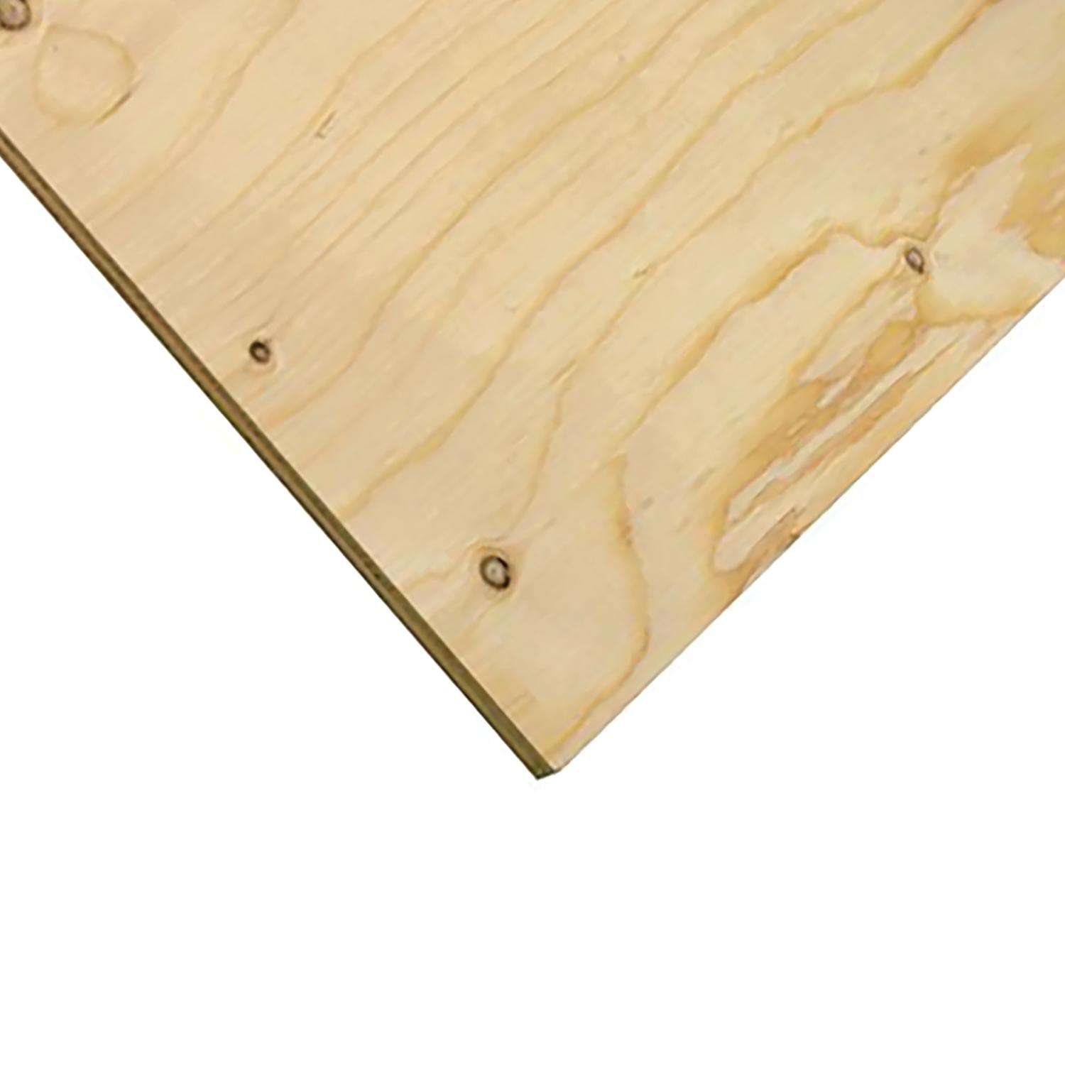 Plywood SPF 3/4 x 24 x 48