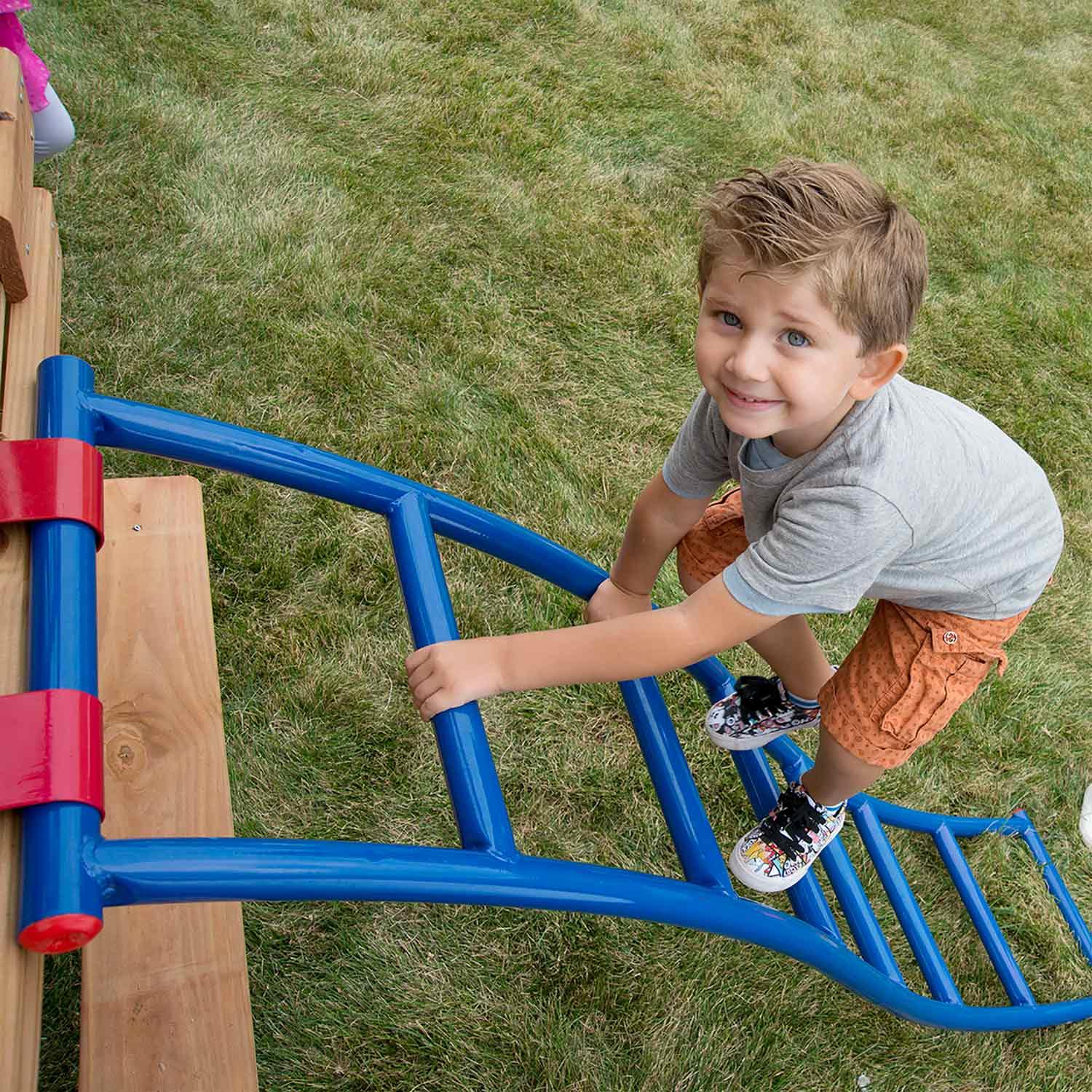 250 lb Blue/Red Flex-Arch Ladder