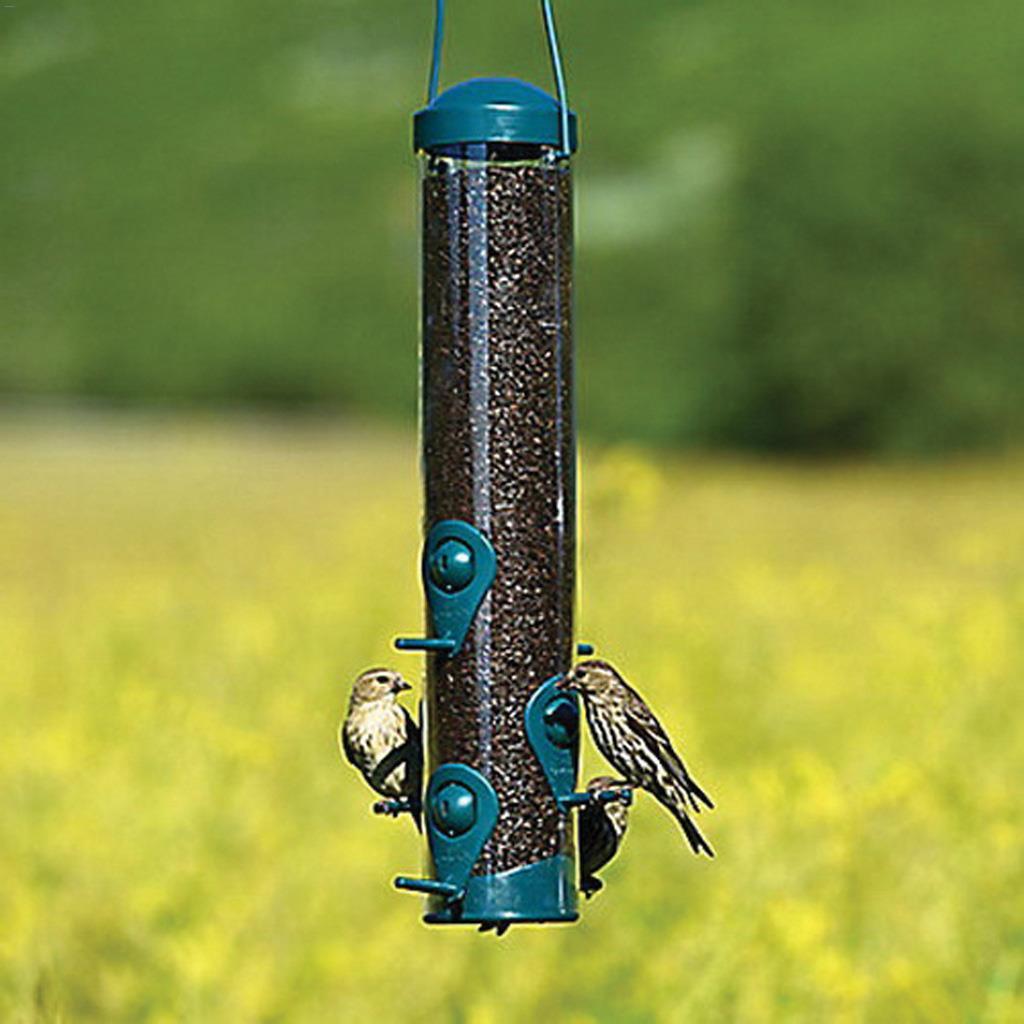 Mangeoire pour les Pinsons et les Oiseaux Sauvages