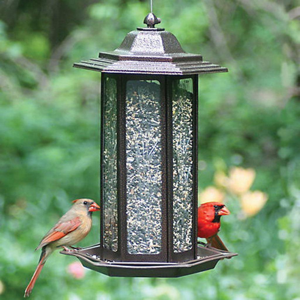 Mangeoire à Oiseaux Lanterne de Jardin en Tulipe