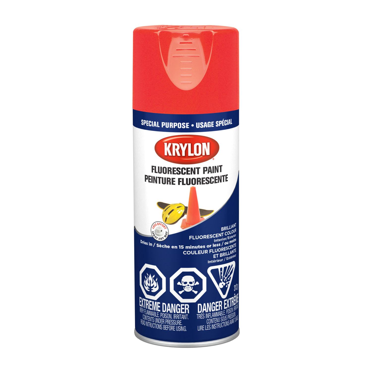 11 oz Aerosol Can Fluorescent Paint