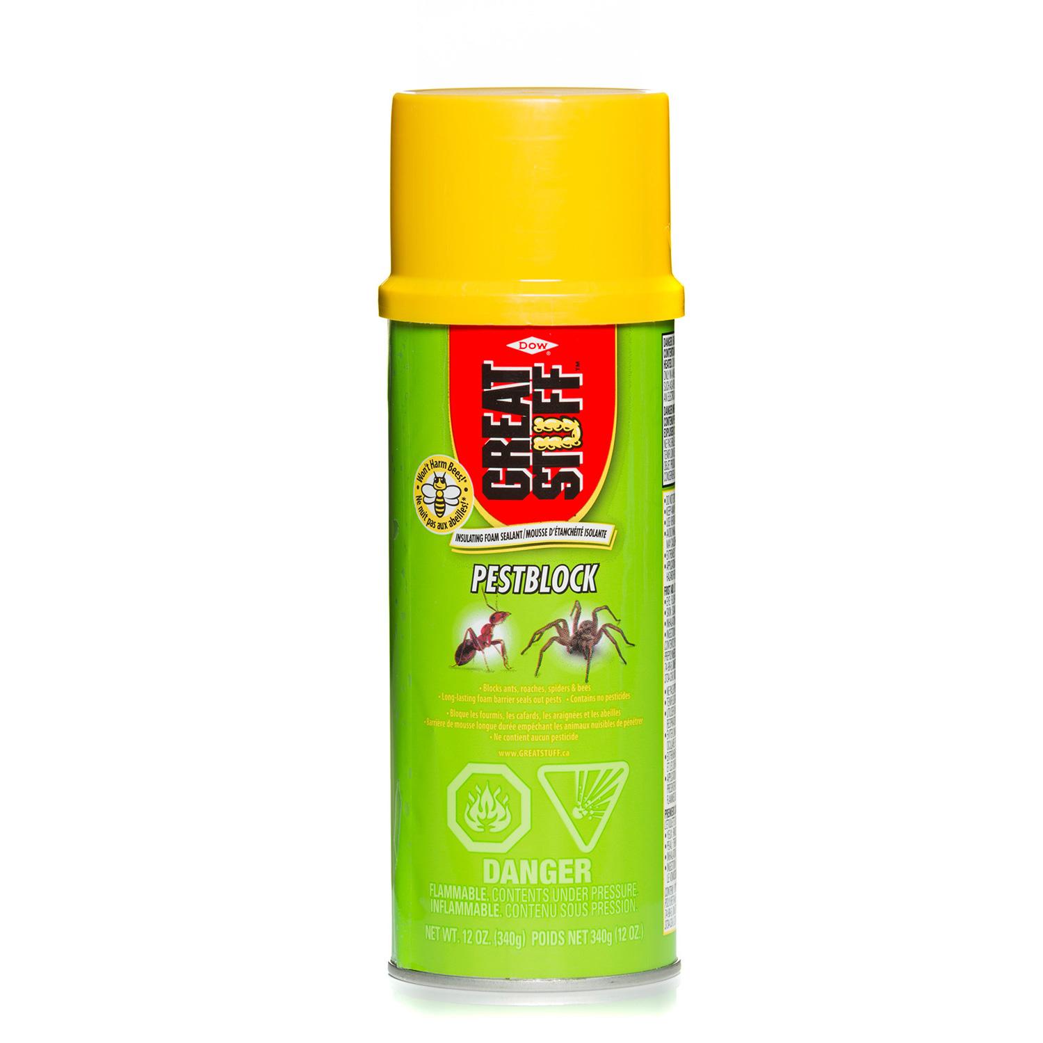 Mousse isolante Great Stuff™ Pestblock grise  340  g