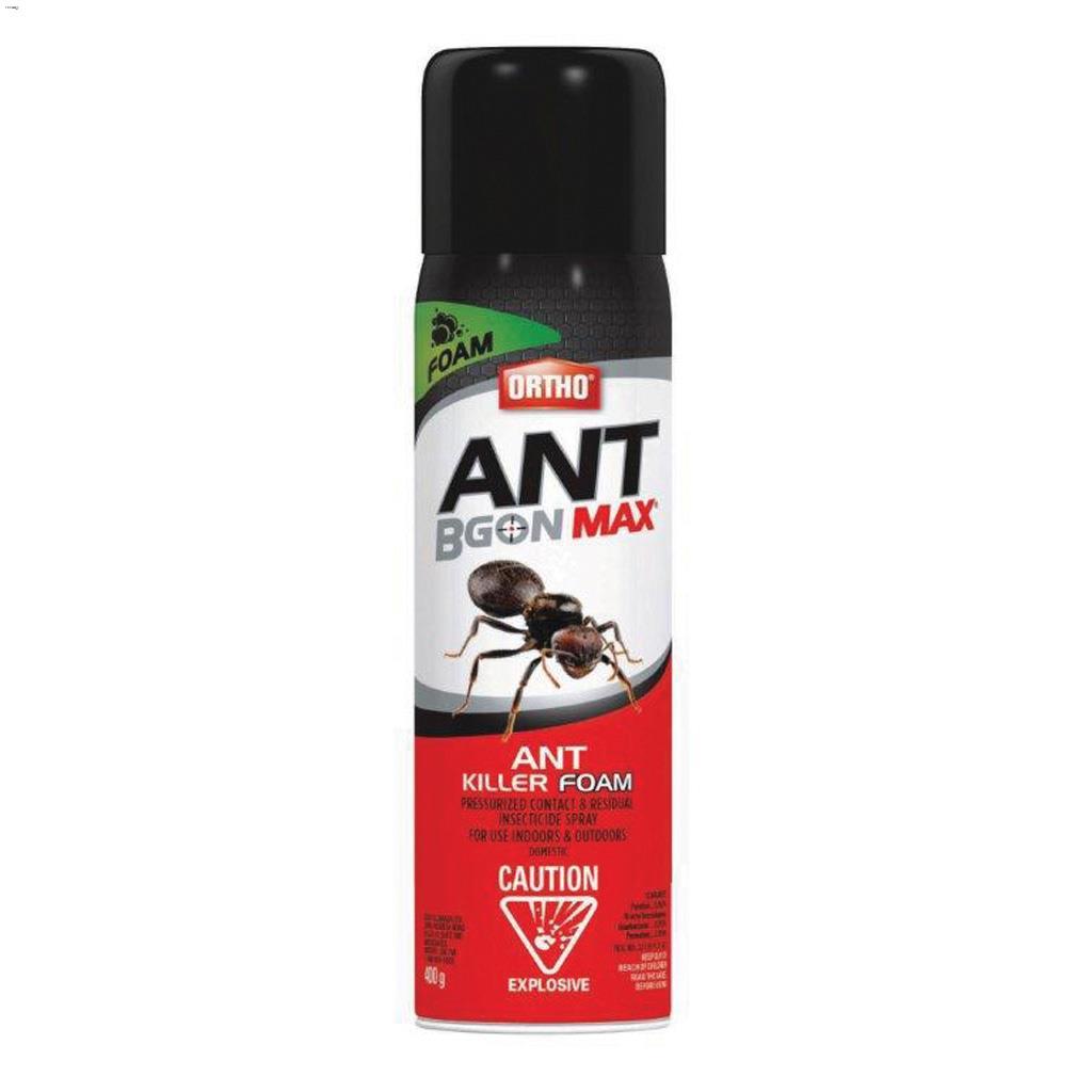 400 g Ant B Gon Max Ant Killer Foam