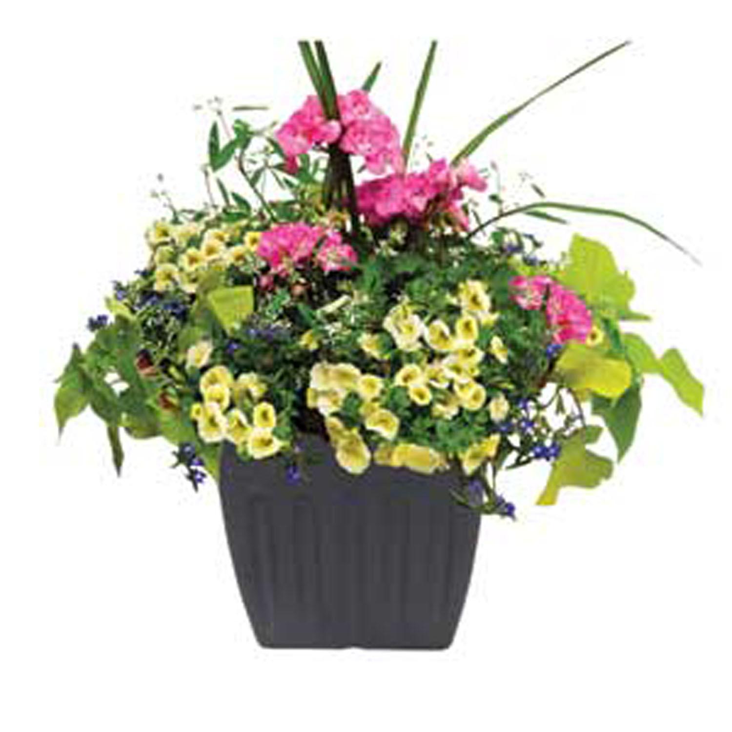 Step Hugger Planter
