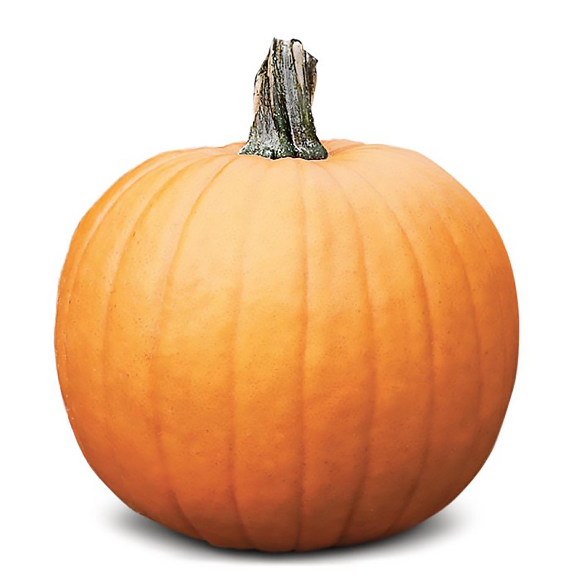Citrouille