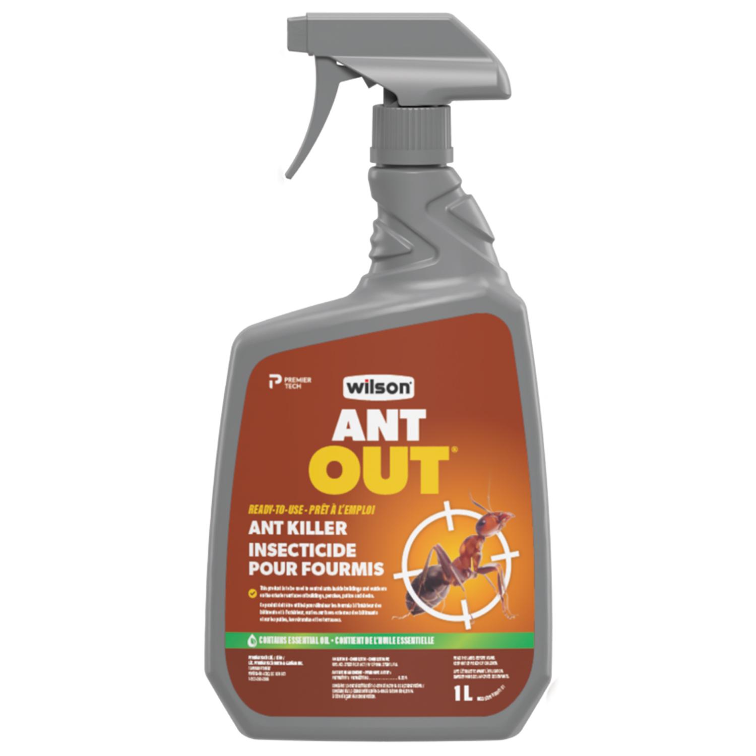 AntOut Wilson