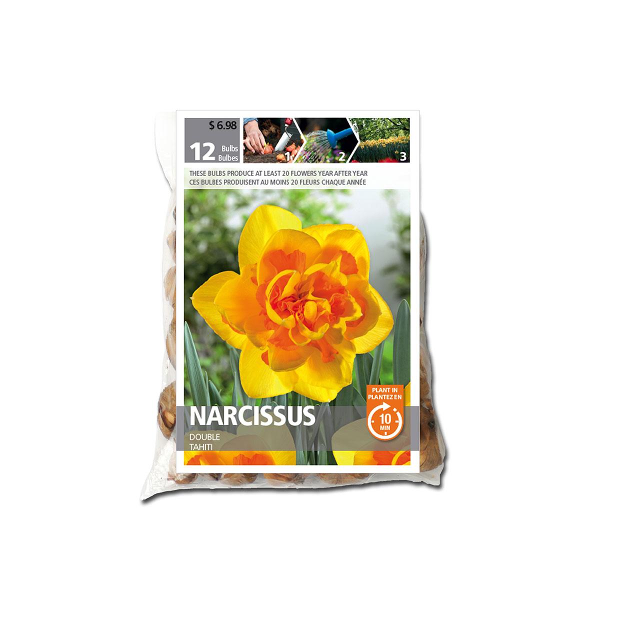 Narcissus Daffodil Double Tahiti Bulb Pack