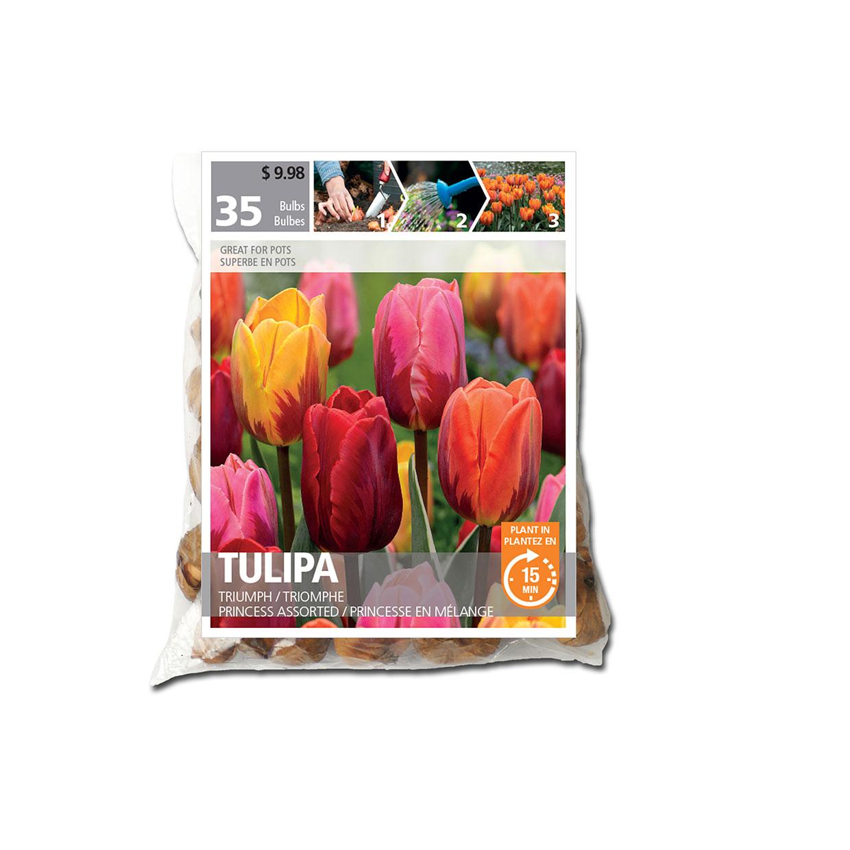 Tulip Princess Assorted Bulb Pack