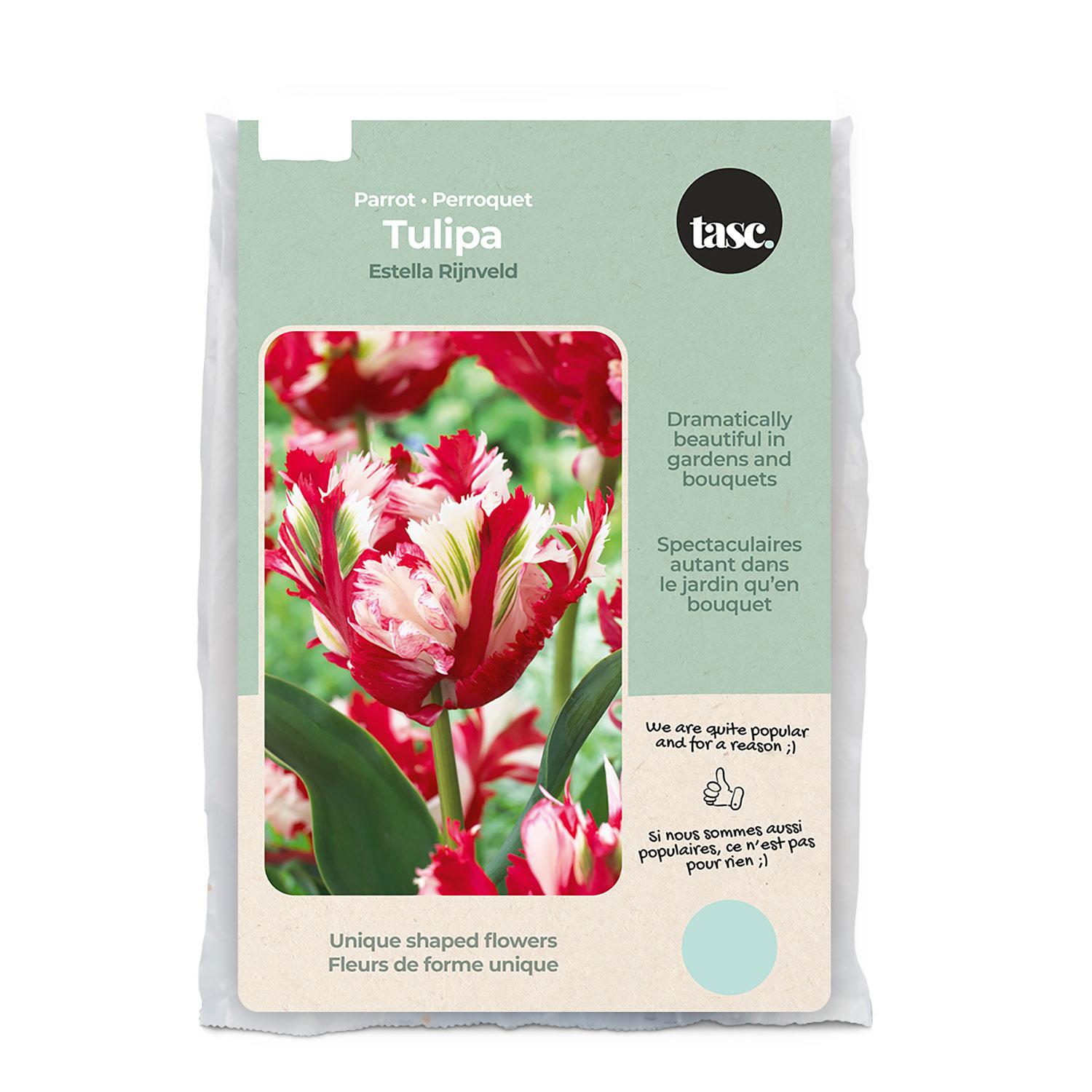 Variété de bulbes de tulipes perroquet Estella