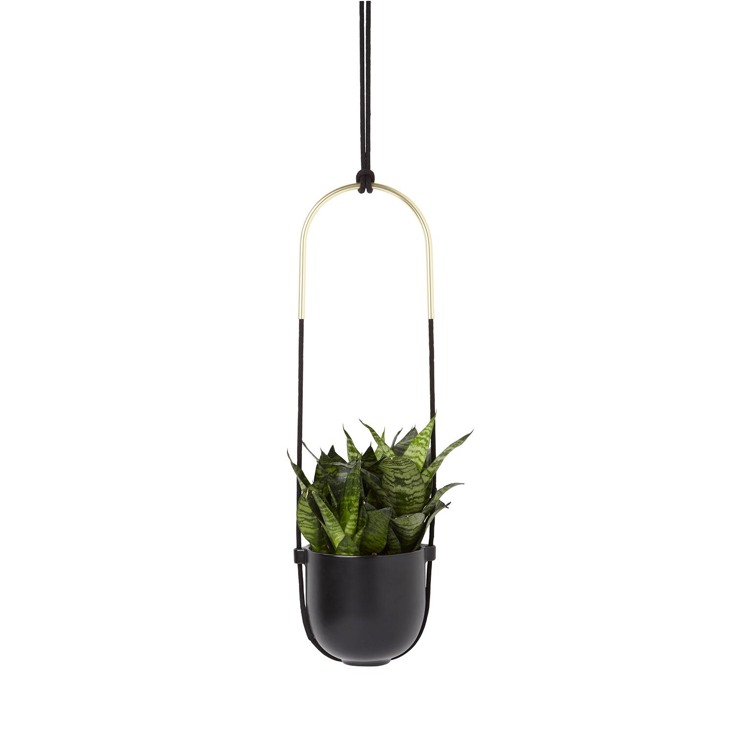 Jardinière Bolo